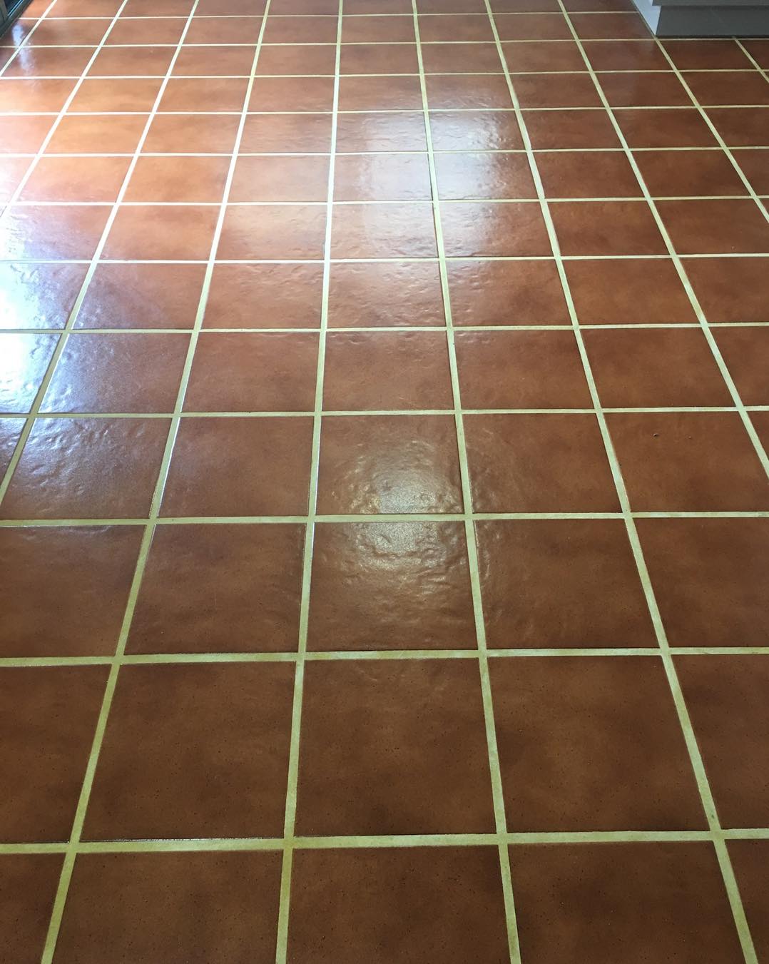 Dynamite Carpet & Tile Cleaning