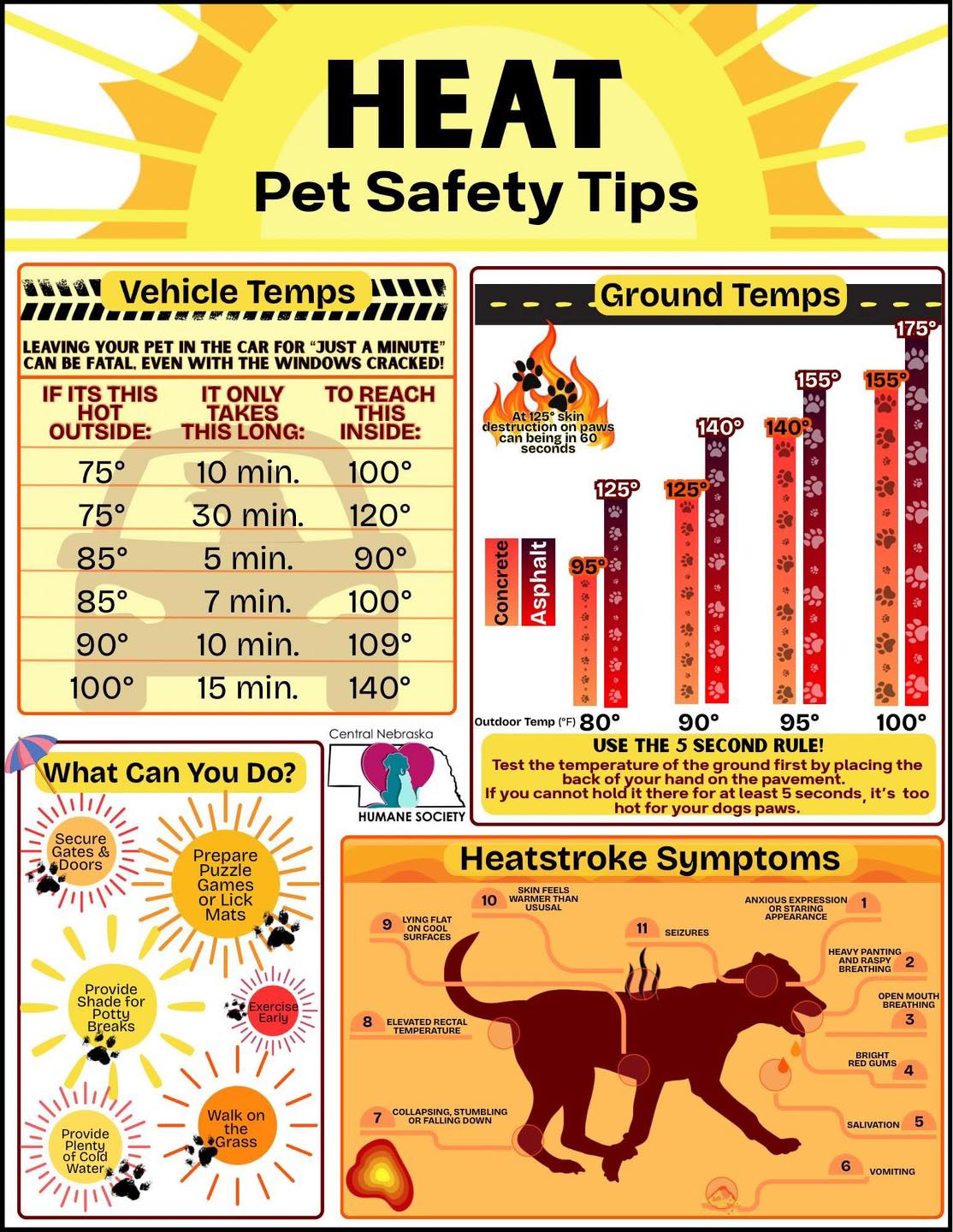Bubbles and Bones pet grooming Maumee