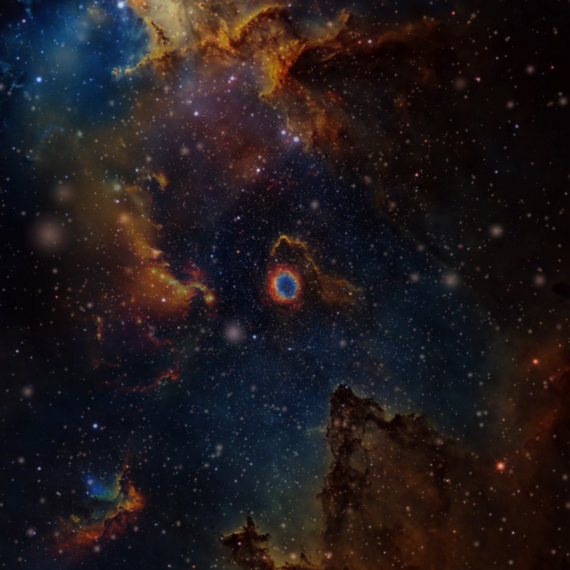 Three Pines Veterinary Clinic Medina