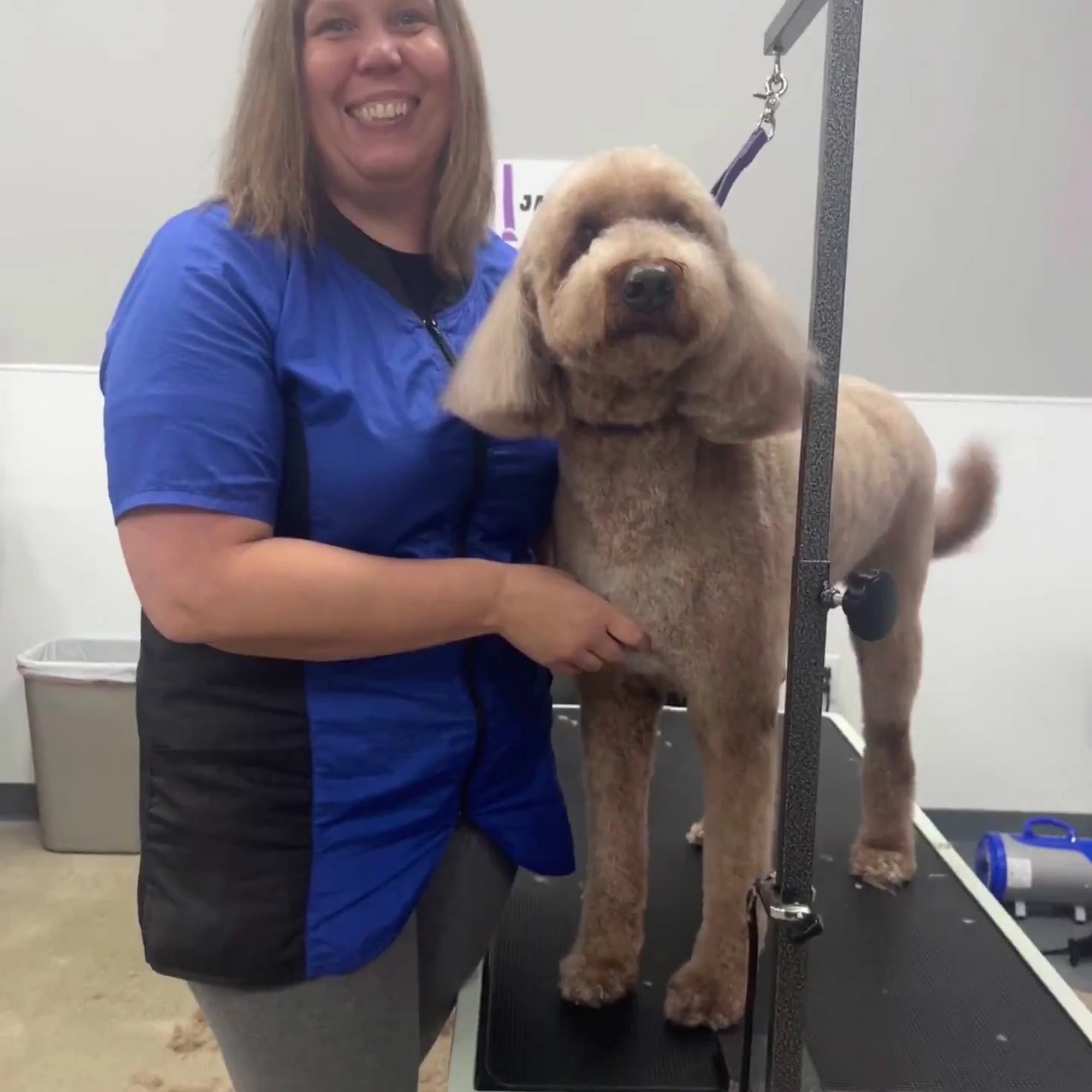 Awesome Paws Pet Salon Medina