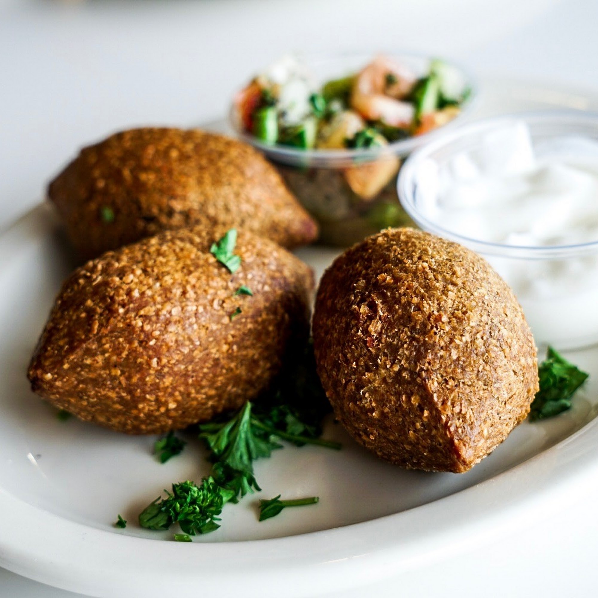 Aladdin's Eatery Mentor Mentor