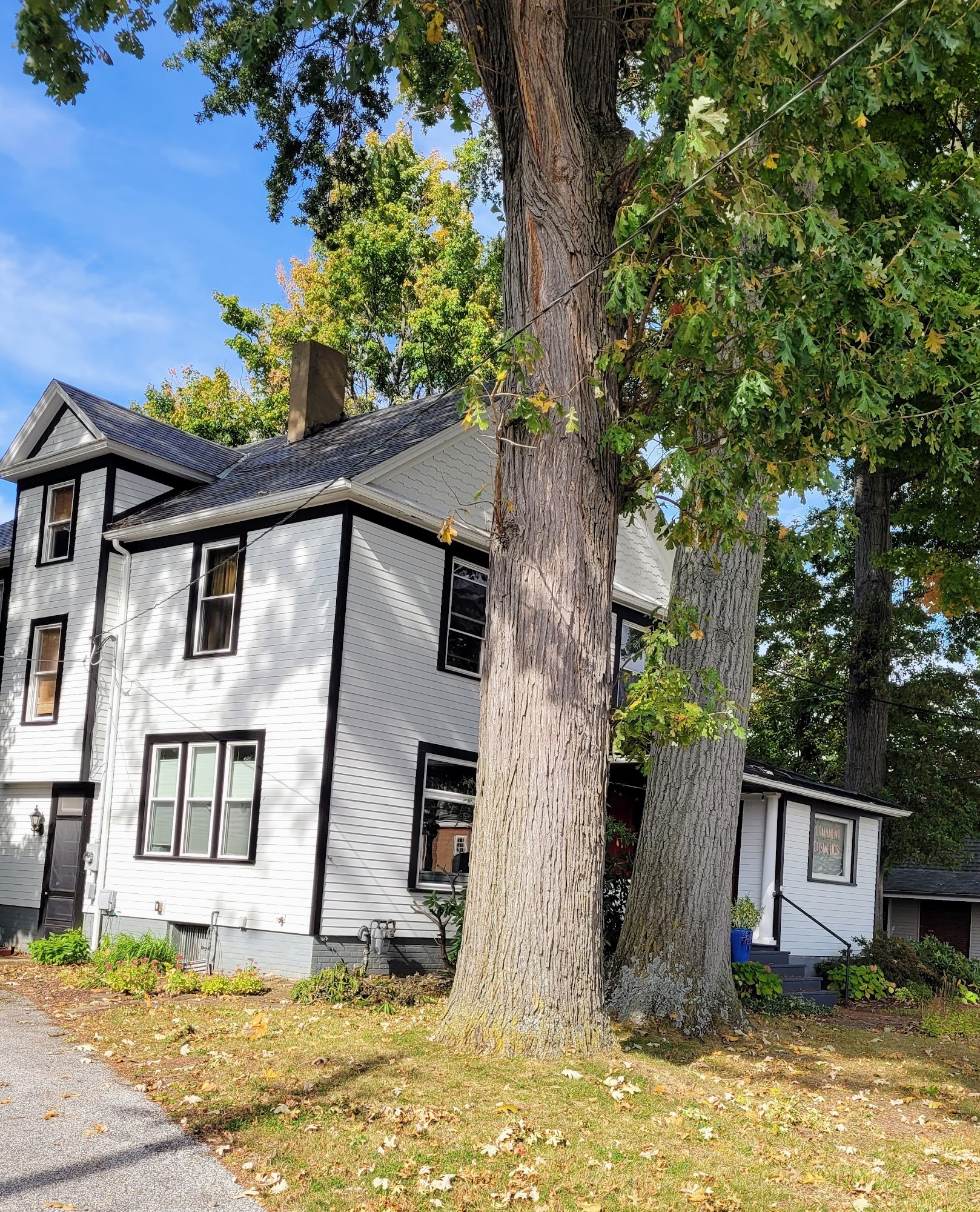 Customeyes Ink Permanent Cosmetics