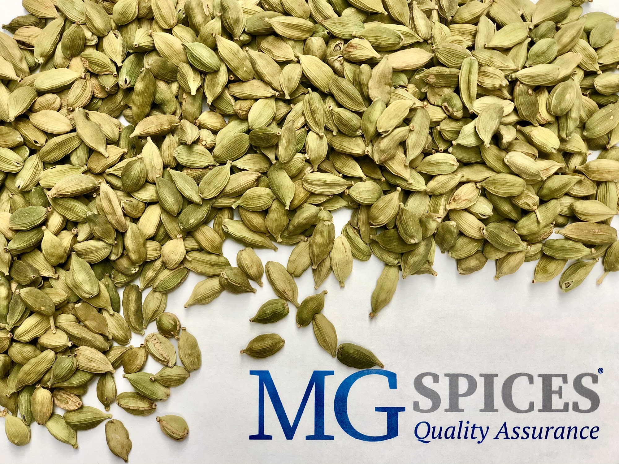 MG Spices/ MGP Global Trading LLC Mentor