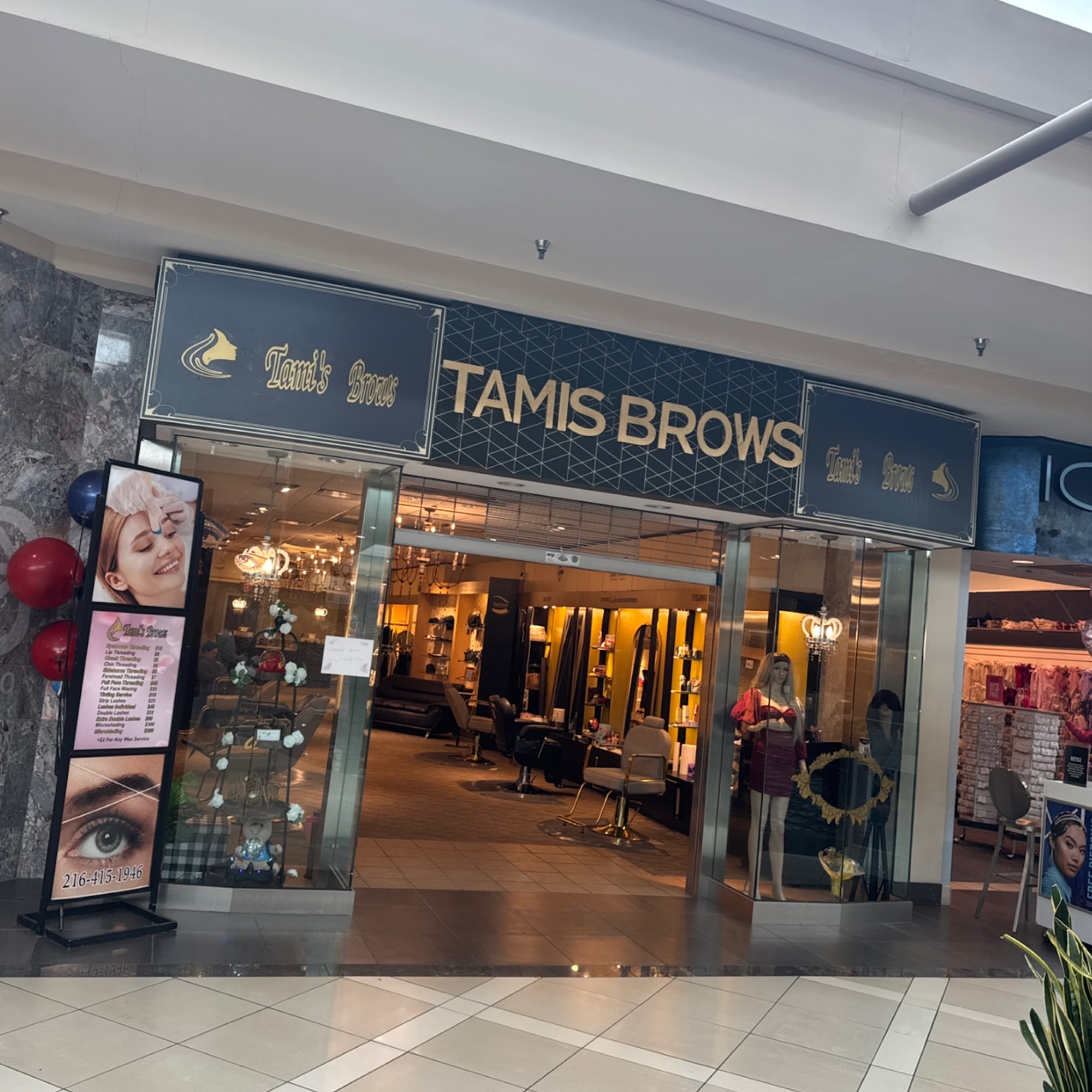 Tamis brows