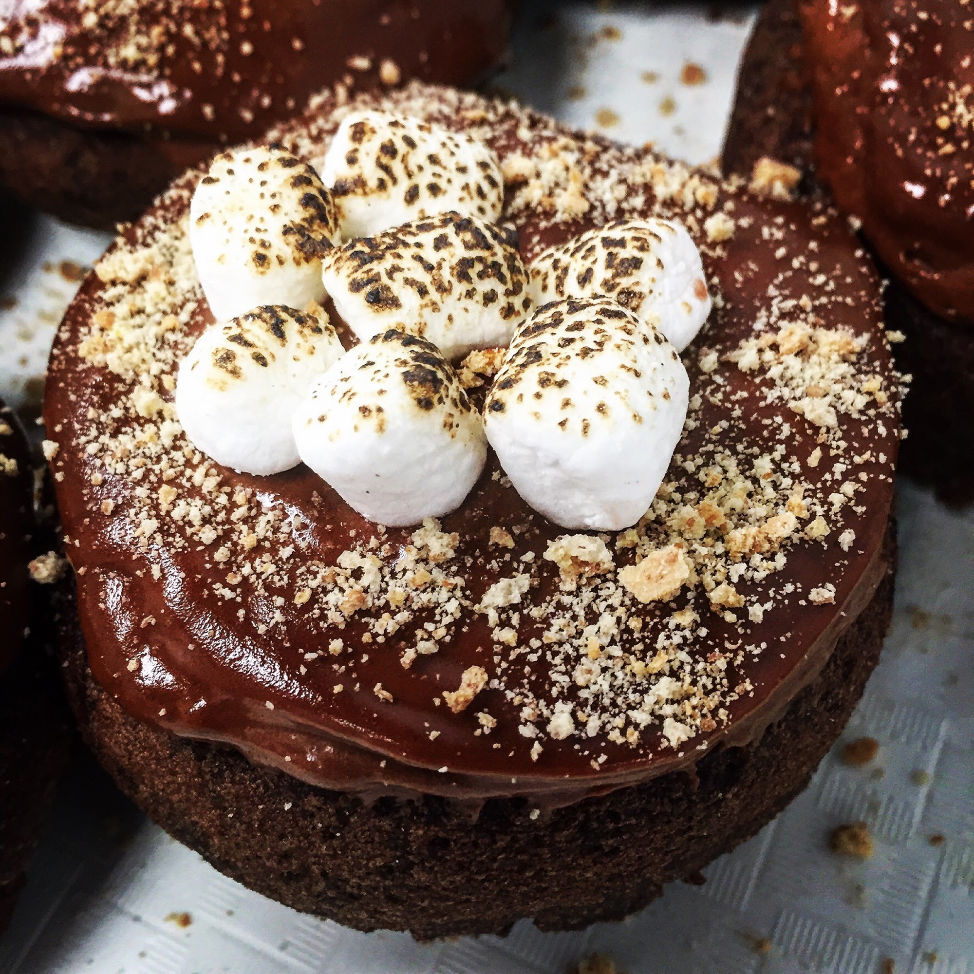 Bear Creek Donuts Miamisburg