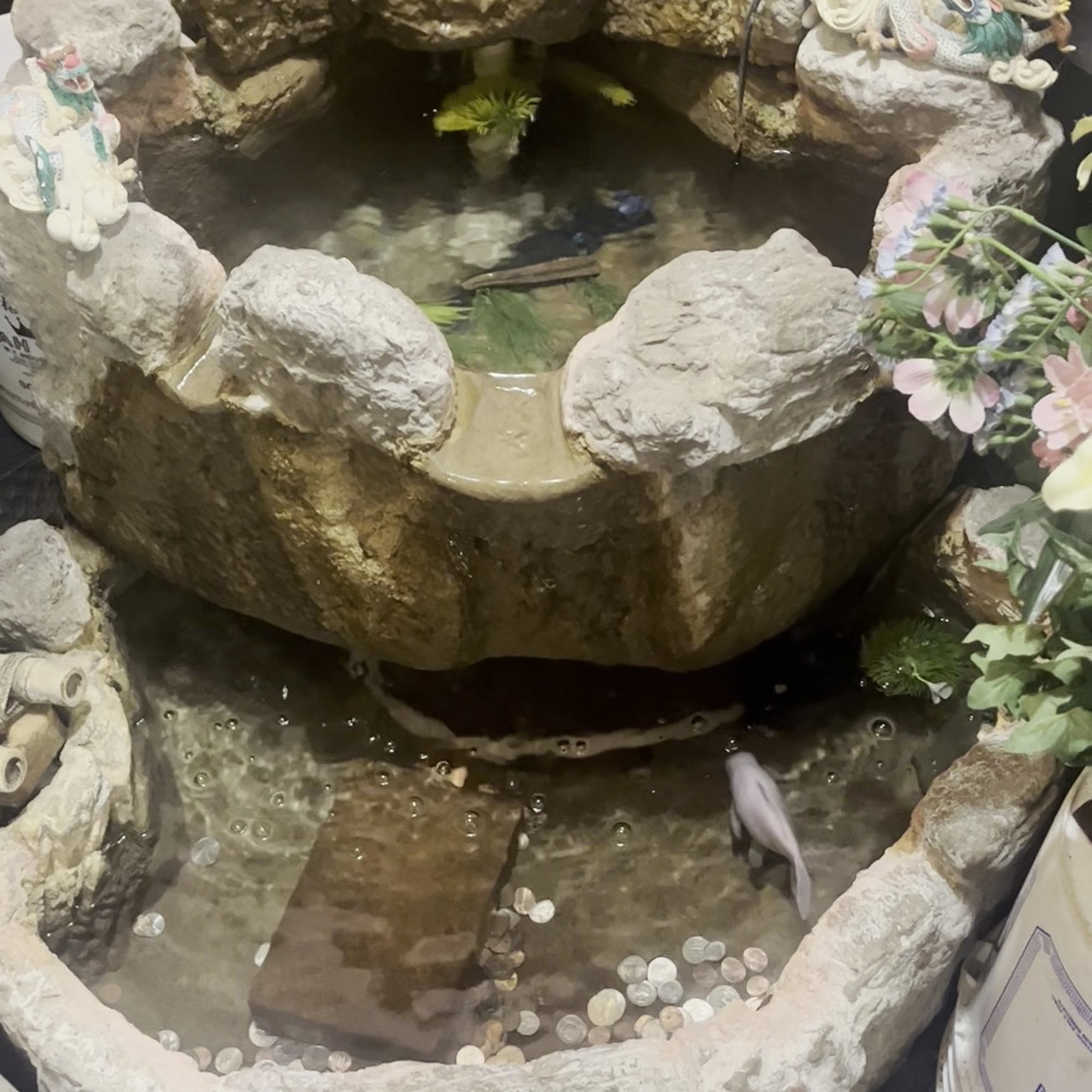 Wah Fu Chinese Restaurant Middleburg Heights