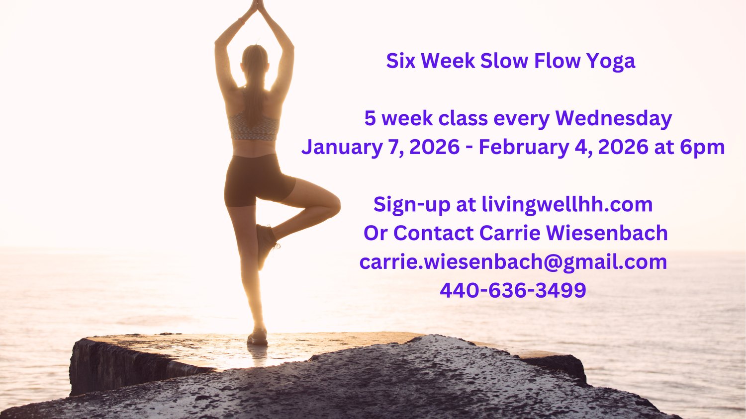 Living Well Holistic Health