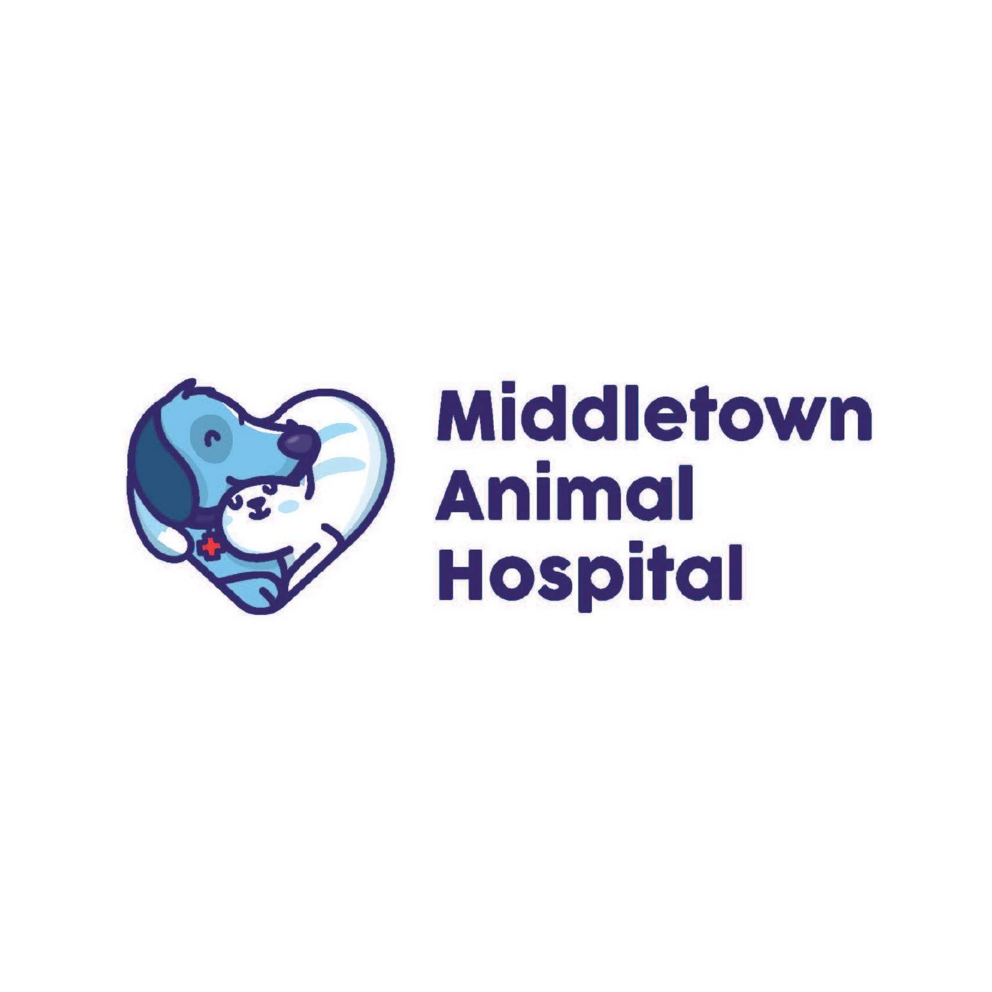 Middletown Animal Hospital Middletown