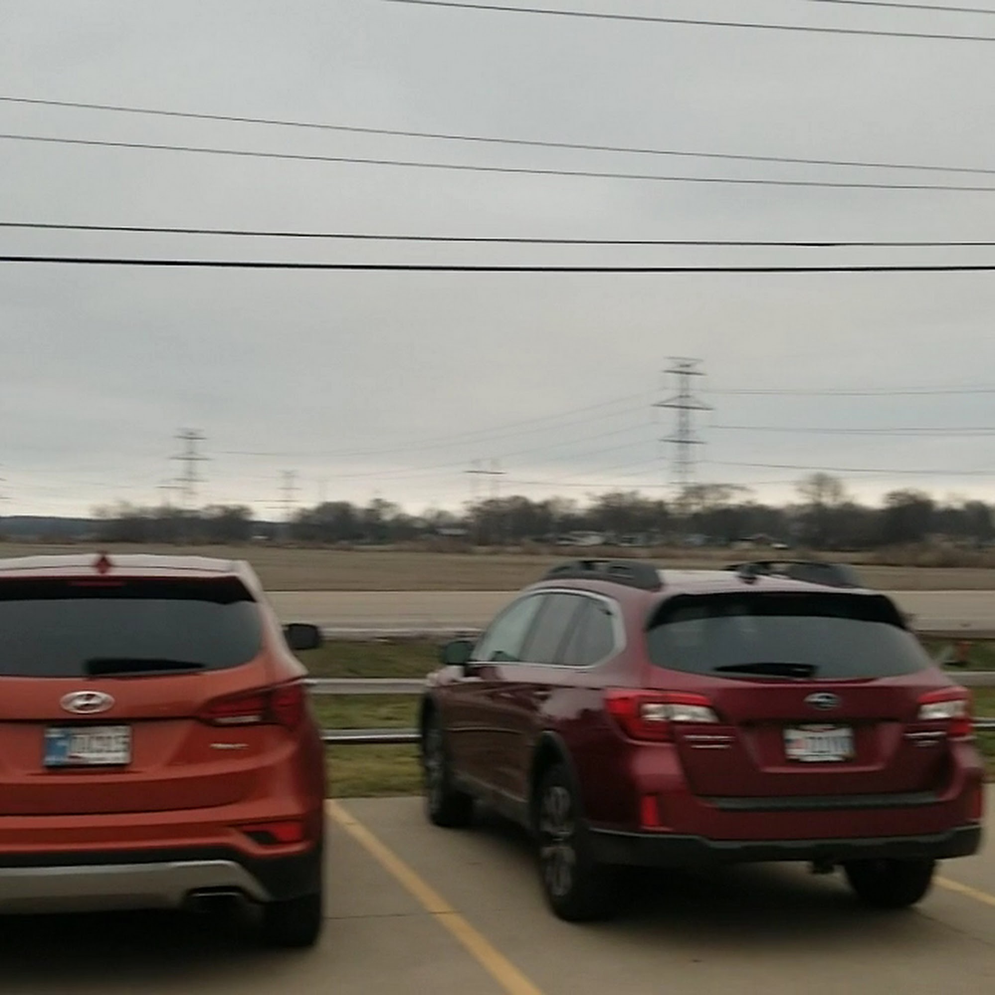 FigLeaf Brewing Company Middletown