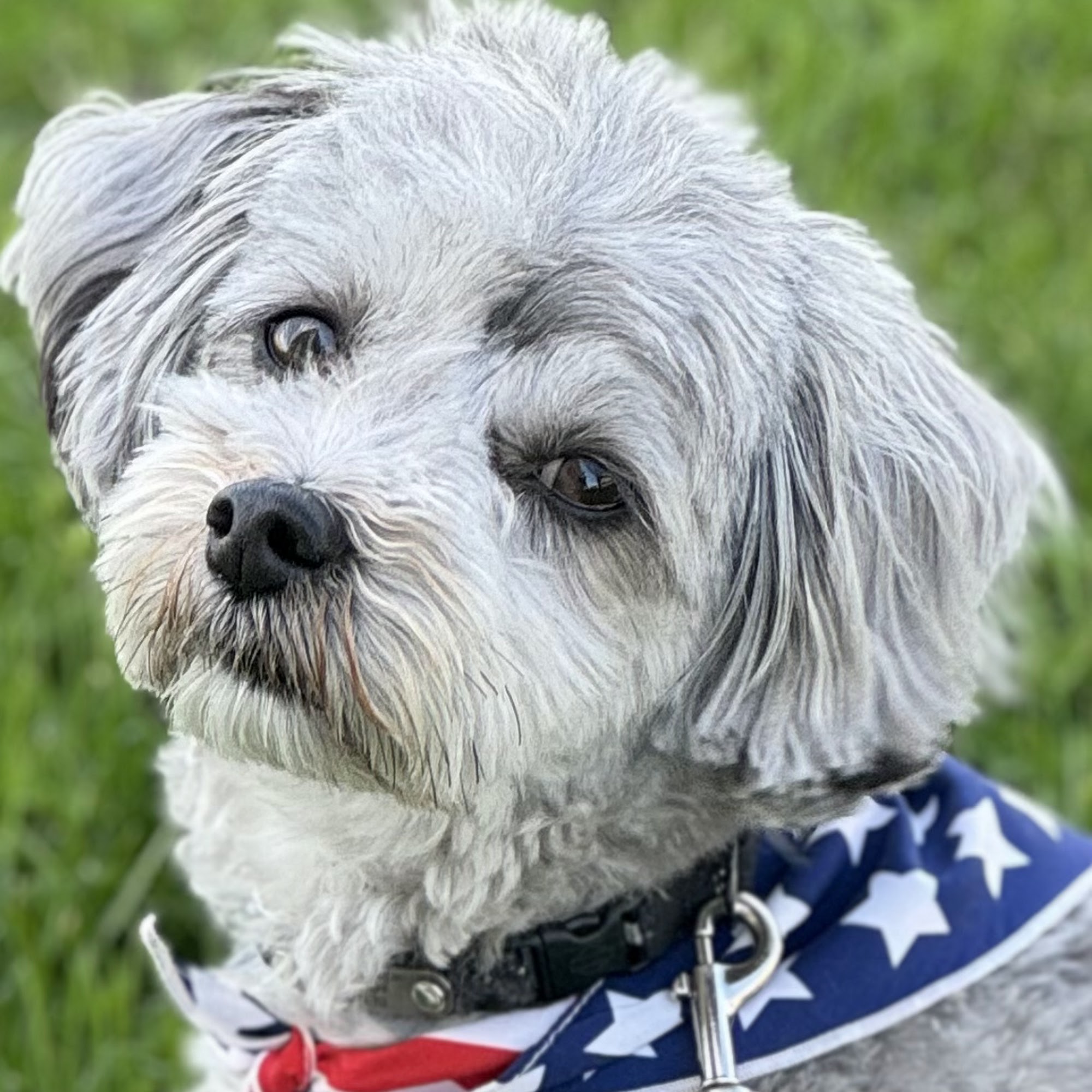 Area Wide Pest Control