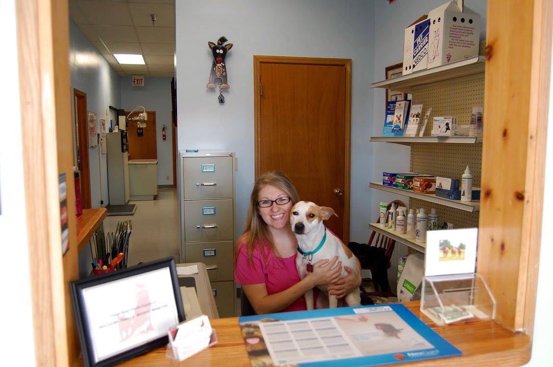 Gallardo Family Animal Hospital Milford