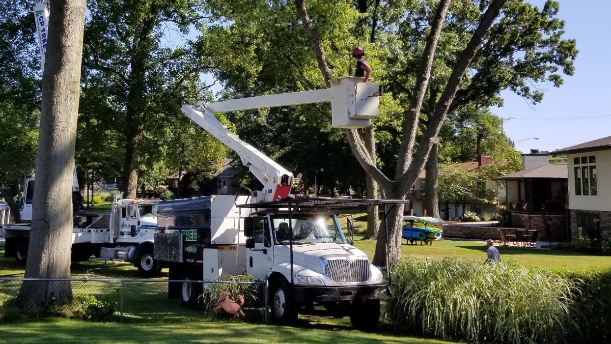 Photo credit: nextdoor