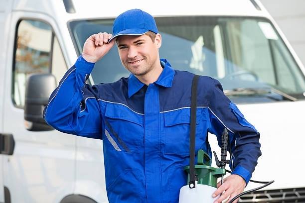Team Pest Control International Inc