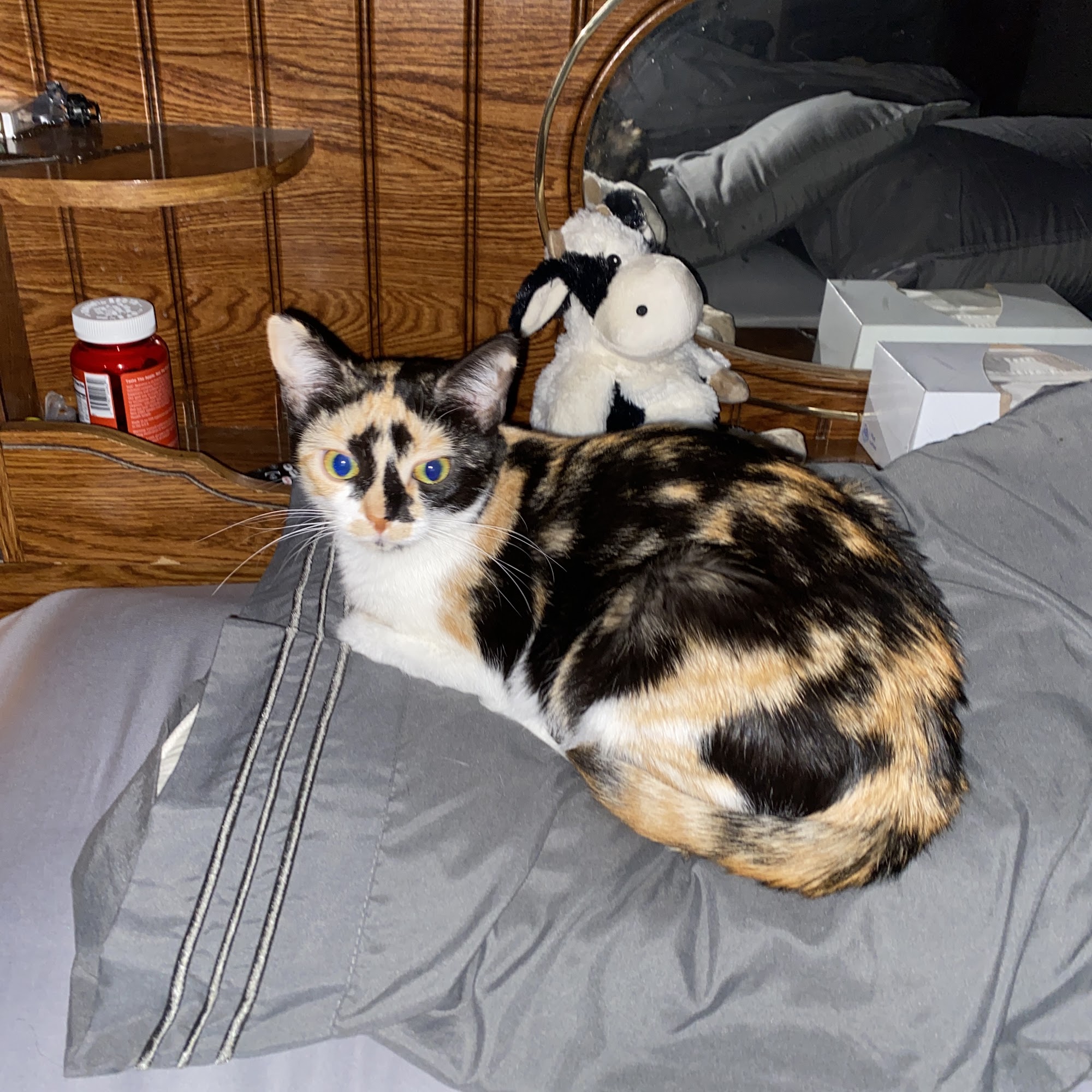 Mt. Orab Veterinary Clinc Mount Orab