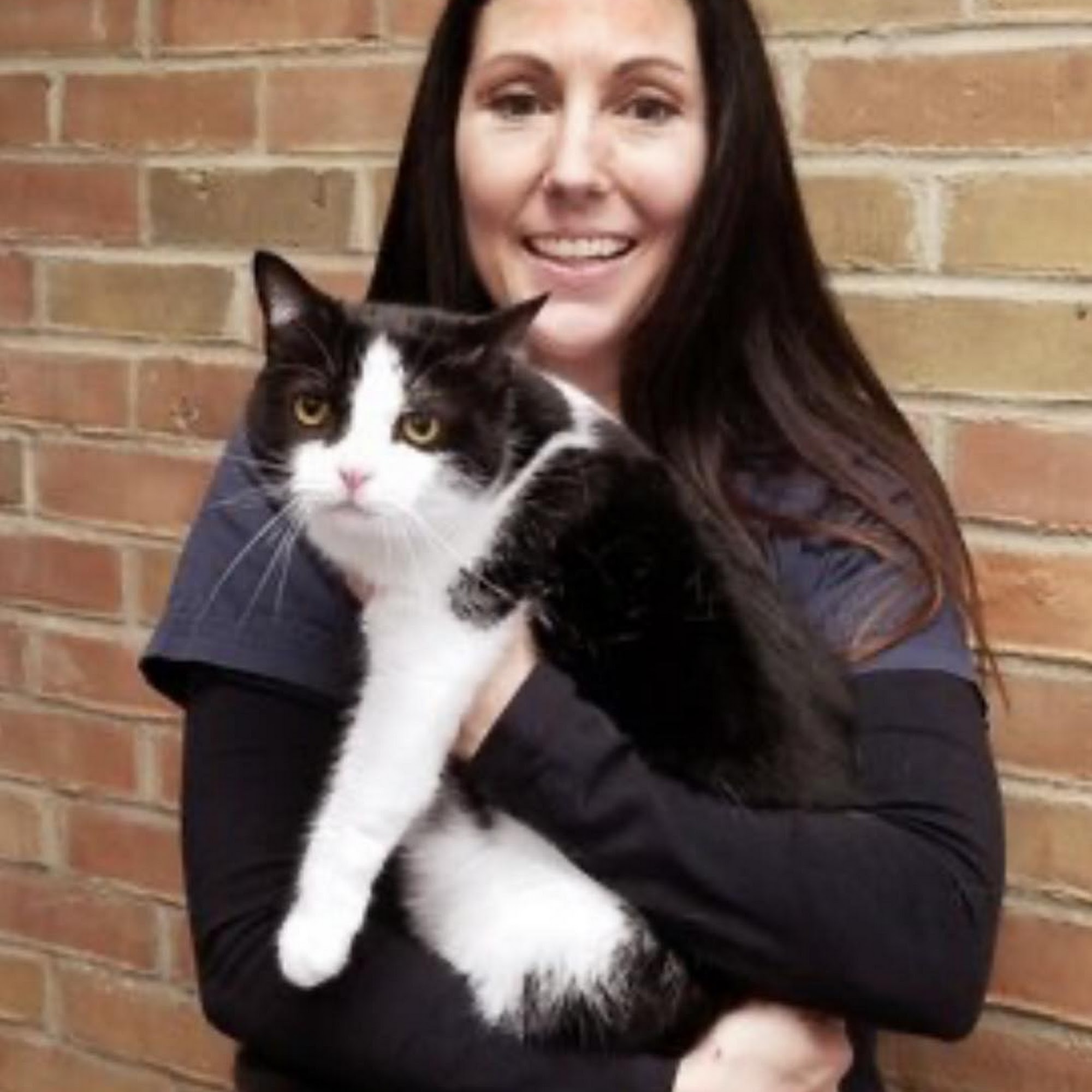 Complete Care Animal Hospital Mount Vernon