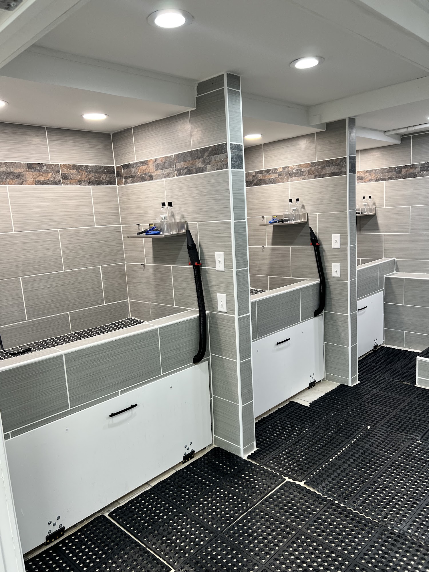 Professional Pet Grooming & Dog Wash Mount Vernon