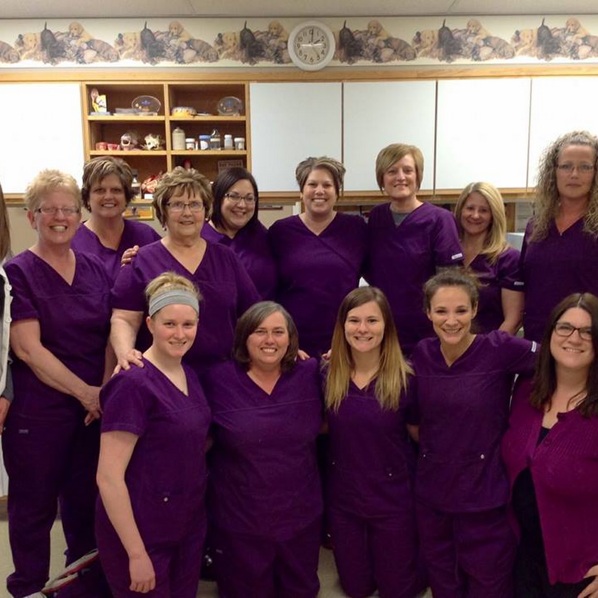 Napoleon Veterinary Clinic Inc Napoleon