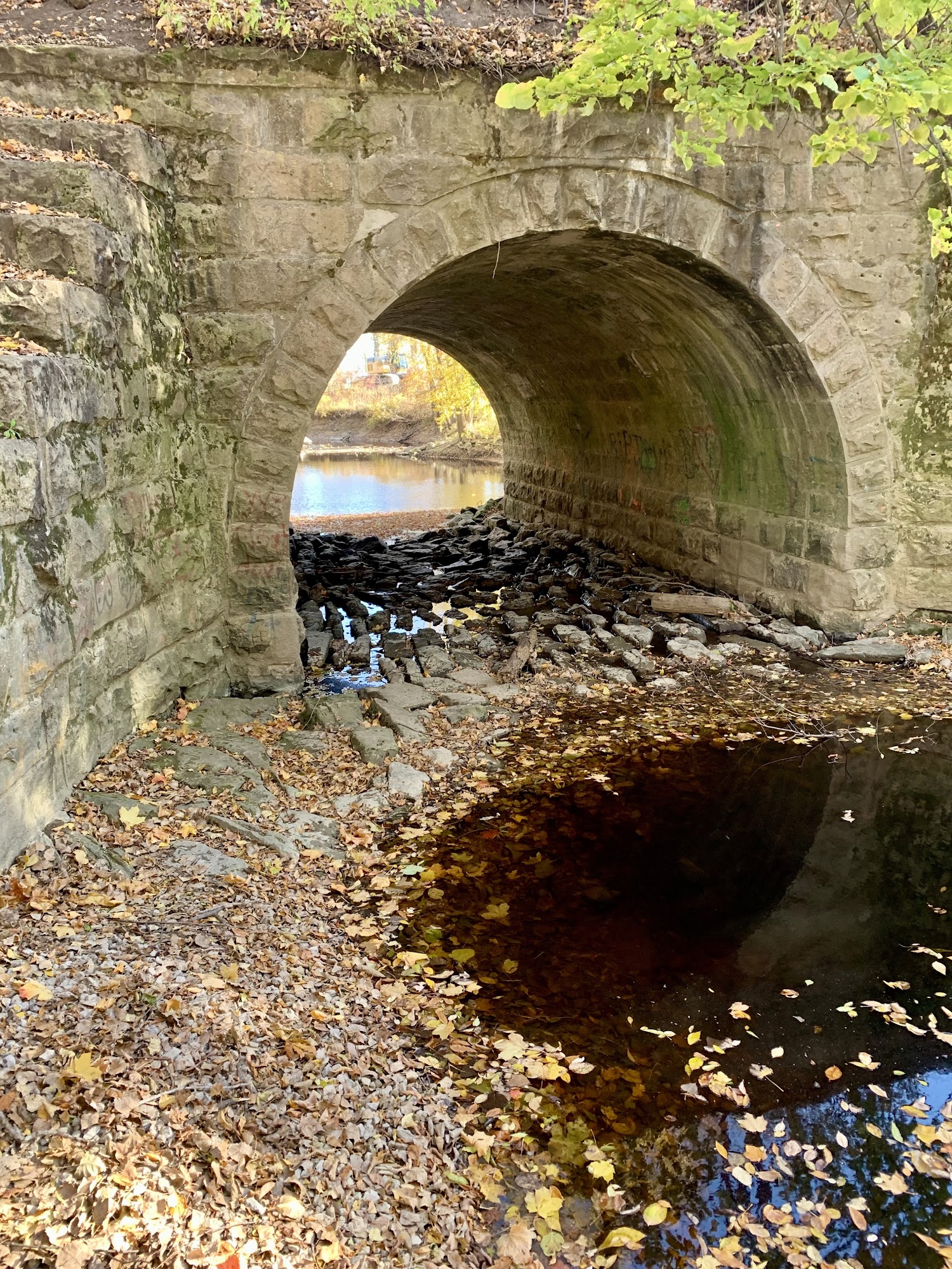 Oakwood Park Napoleon