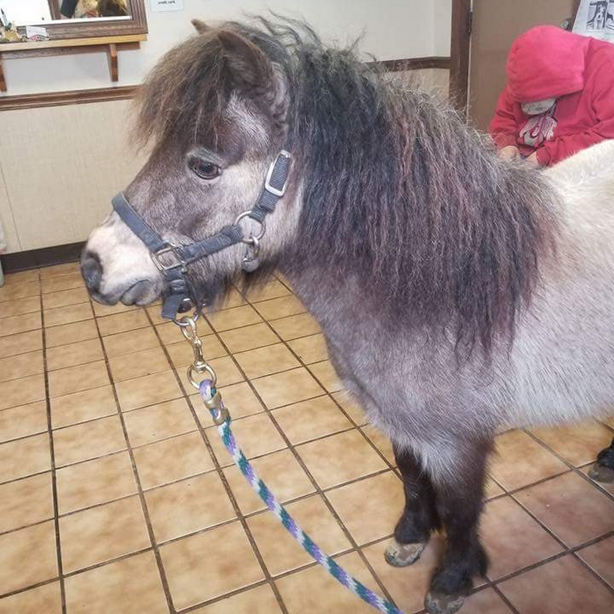 Navarre Animal Clinic Navarre