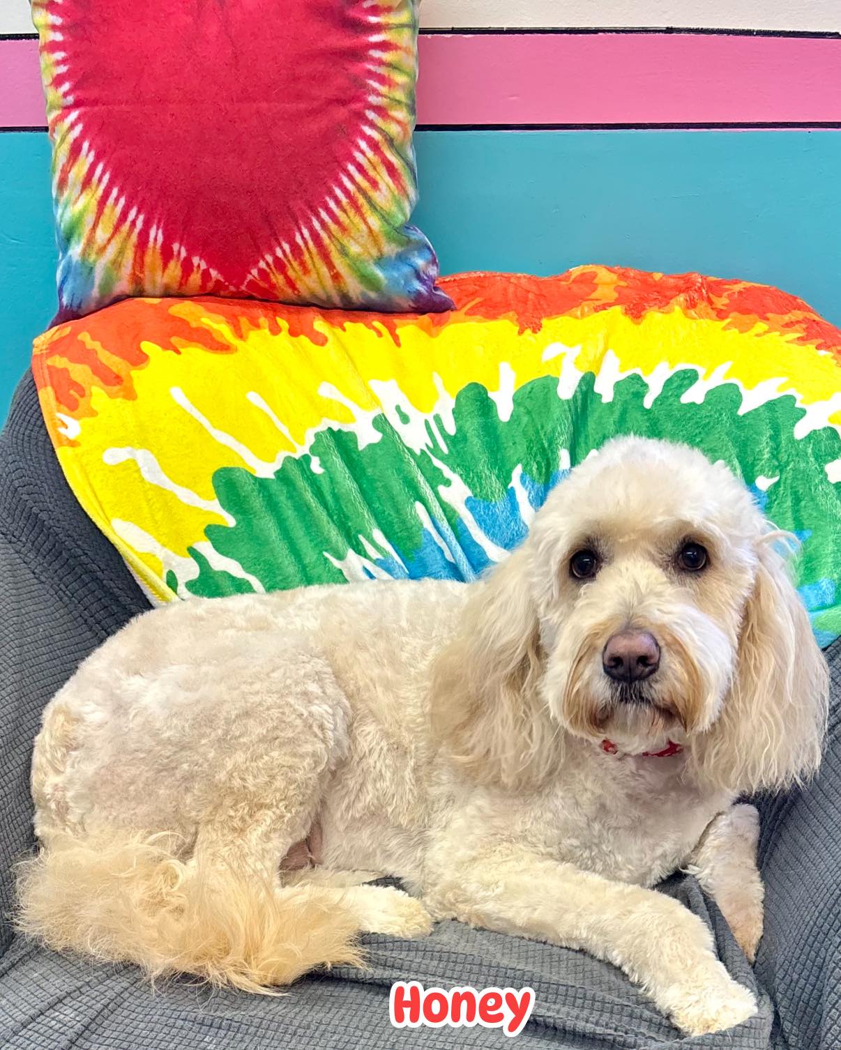 Dee-Oh-Gee’s Day Care & Spa Navarre
