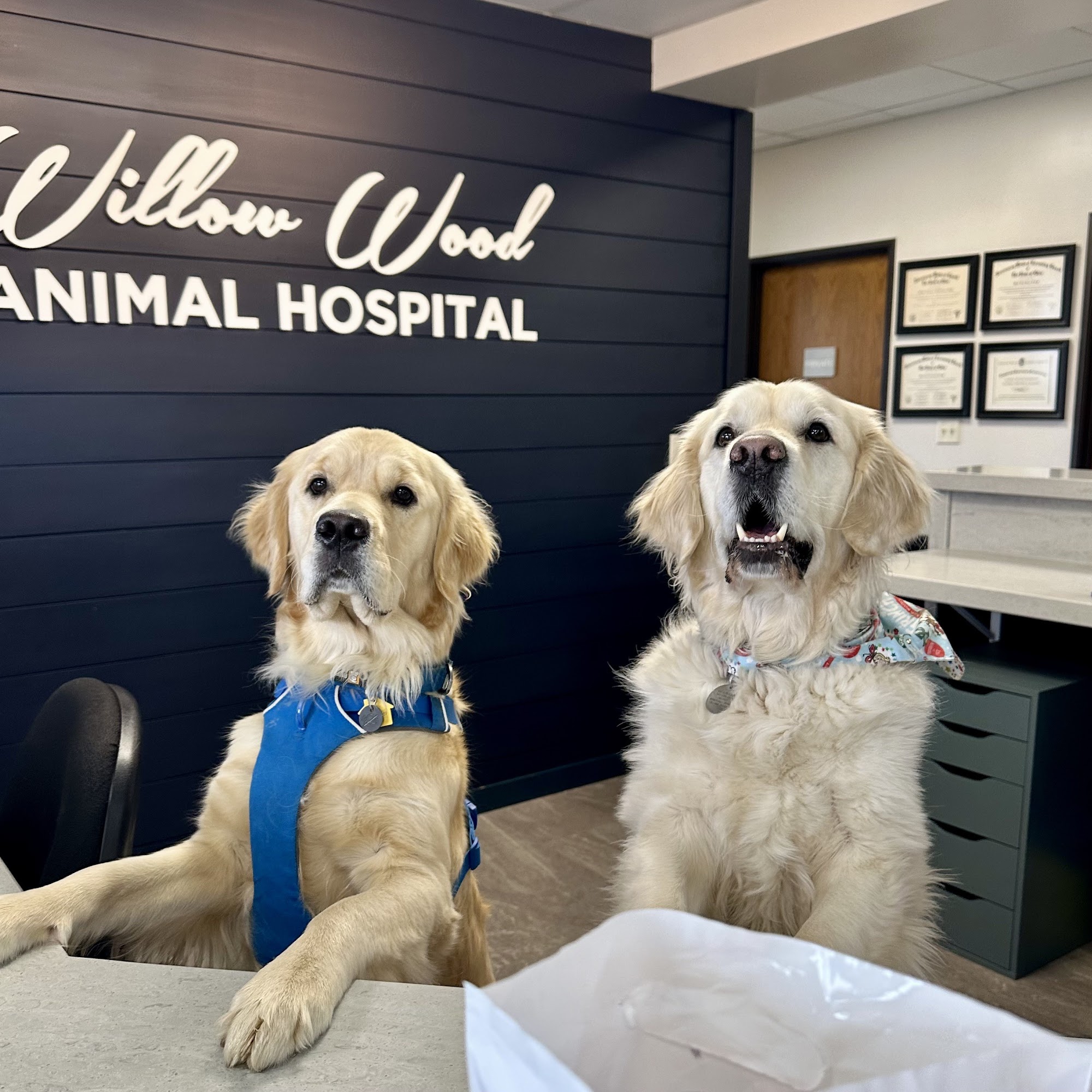 Willow Wood Animal Hospital New Albany