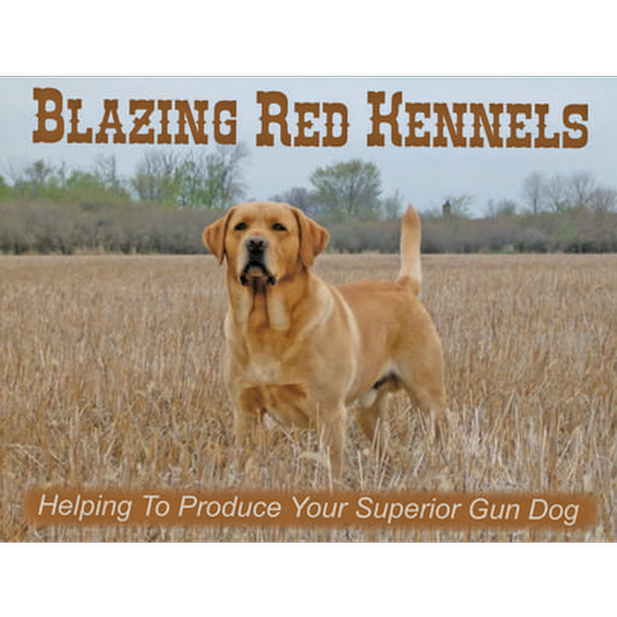 Blazing Red Kennels Clark Cemetery, 3397 Clark Station Rd, New Madison Ohio 45346