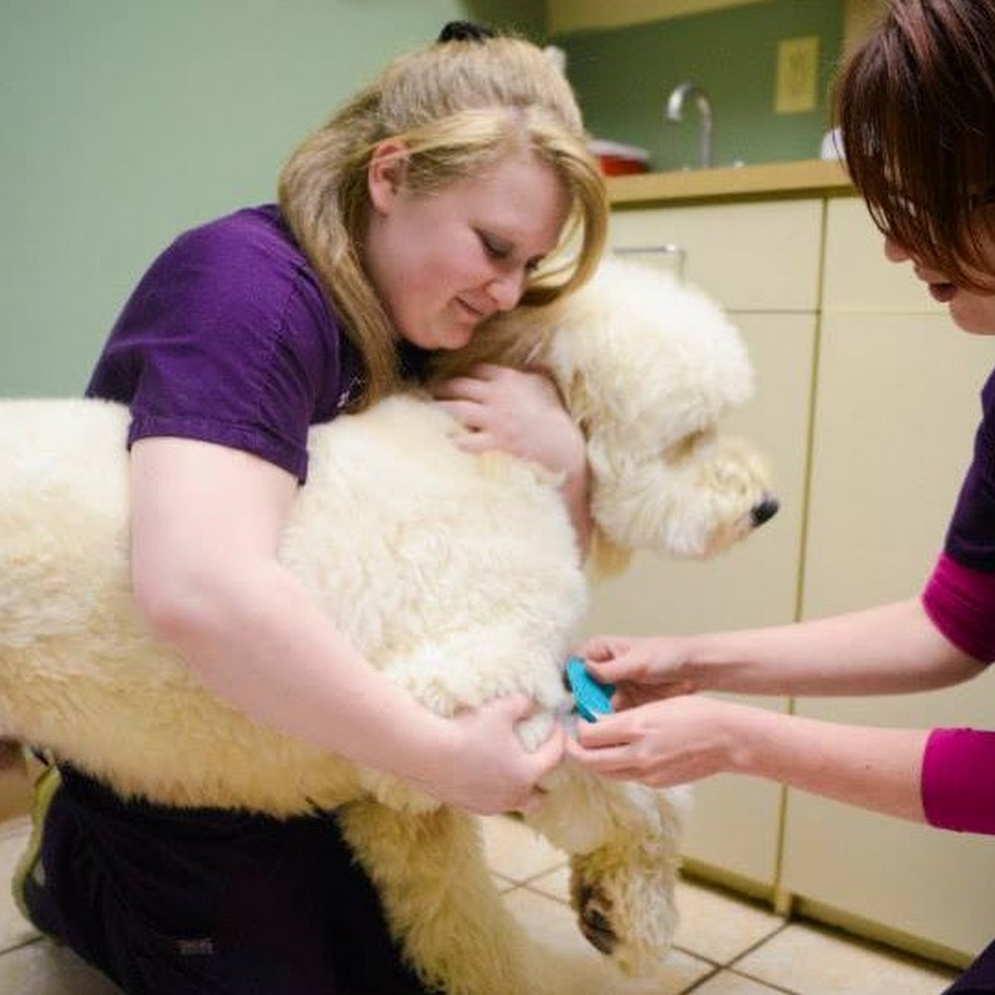 Lifetime Pet Center - New Richmond New Richmond
