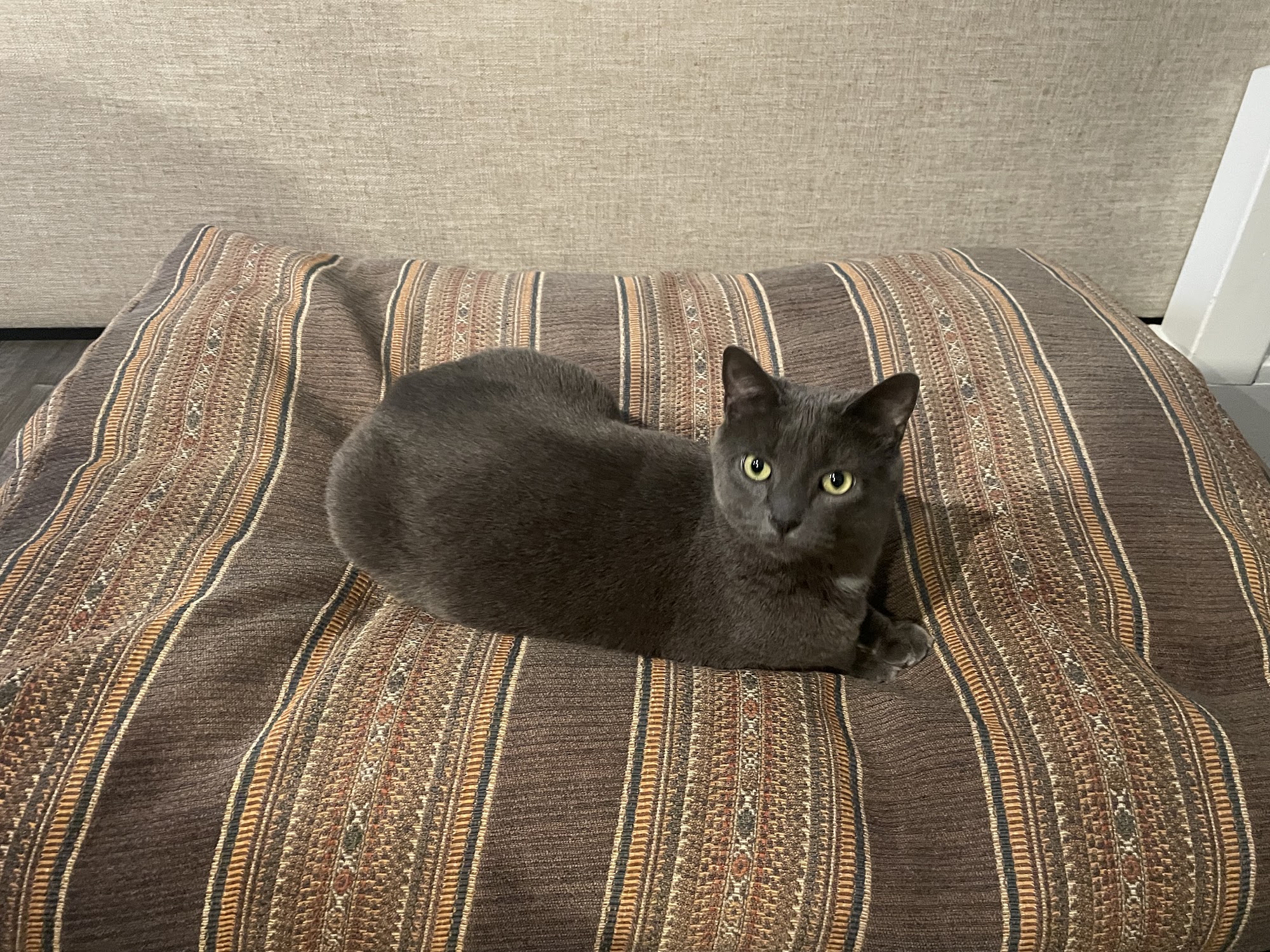 Cricket Ridge Animal Hospital Newbury