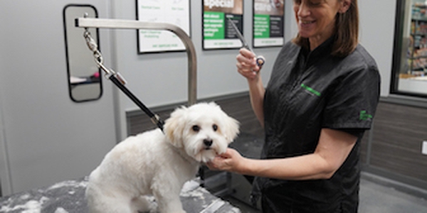 Pet Supplies Plus North Canton North Canton