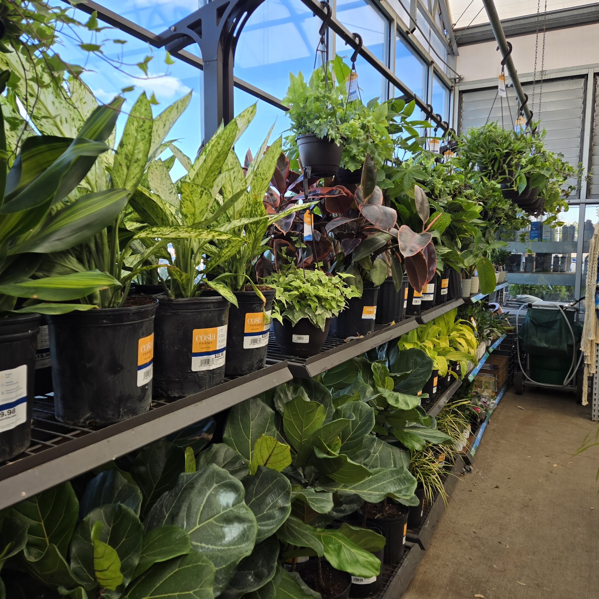 Lowe's Garden Center North Canton
