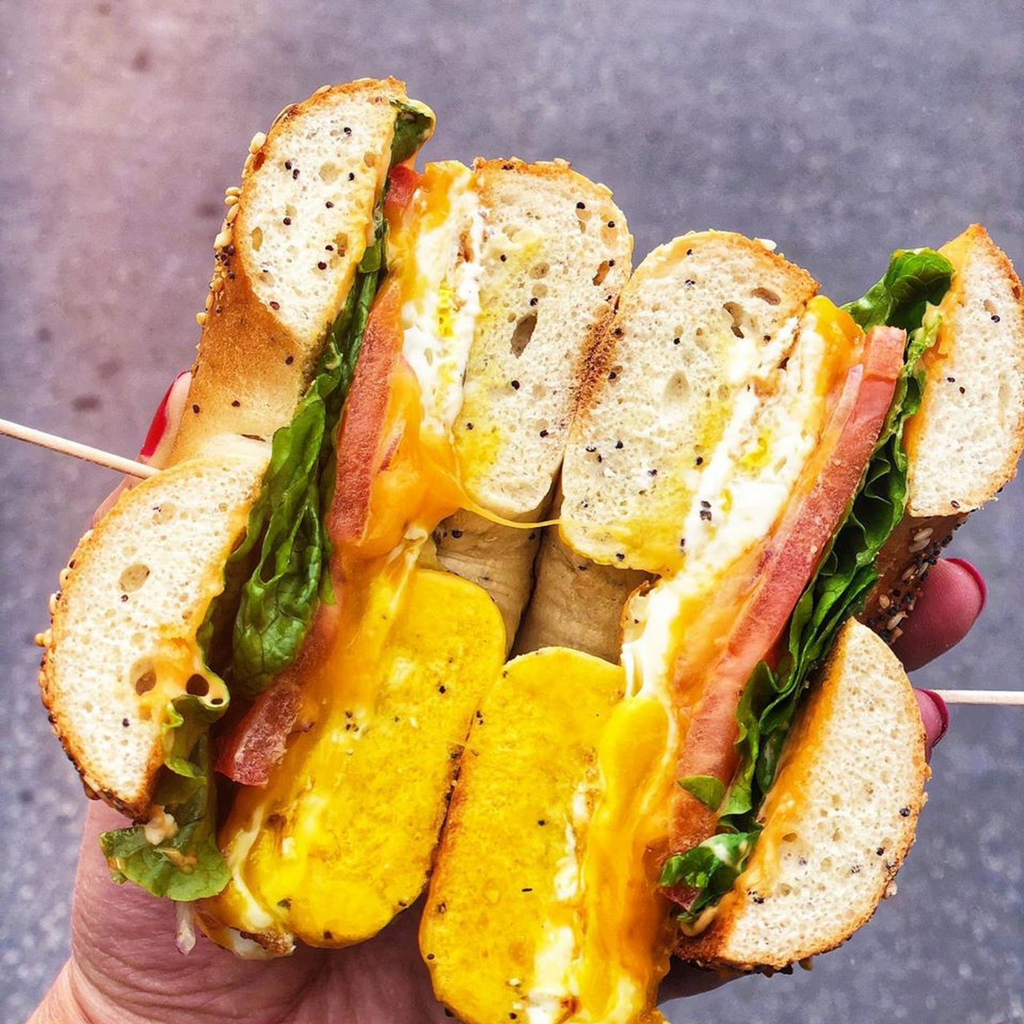 Cocky's Bagels North Olmsted