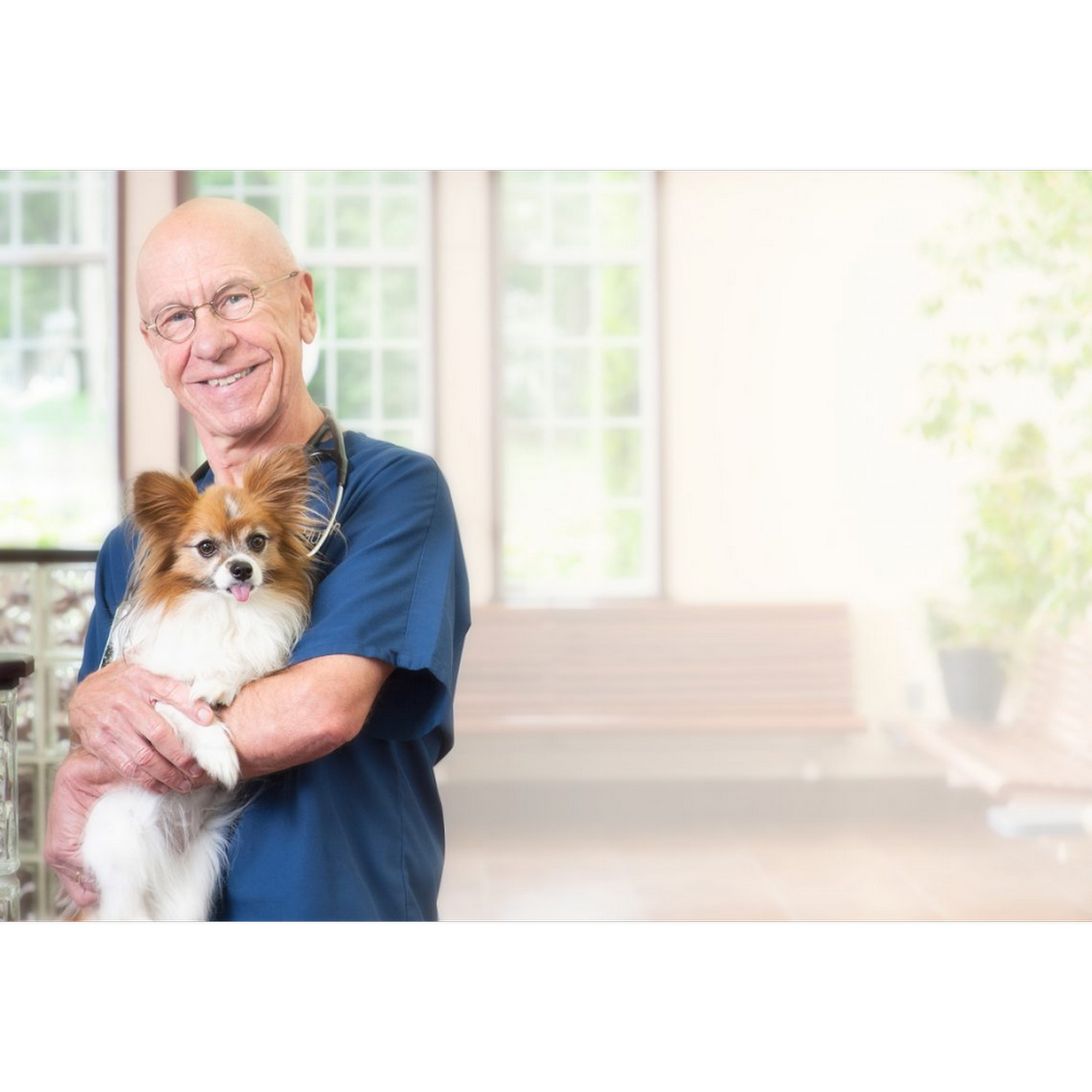 Robert Hutchison DVM North Ridgeville