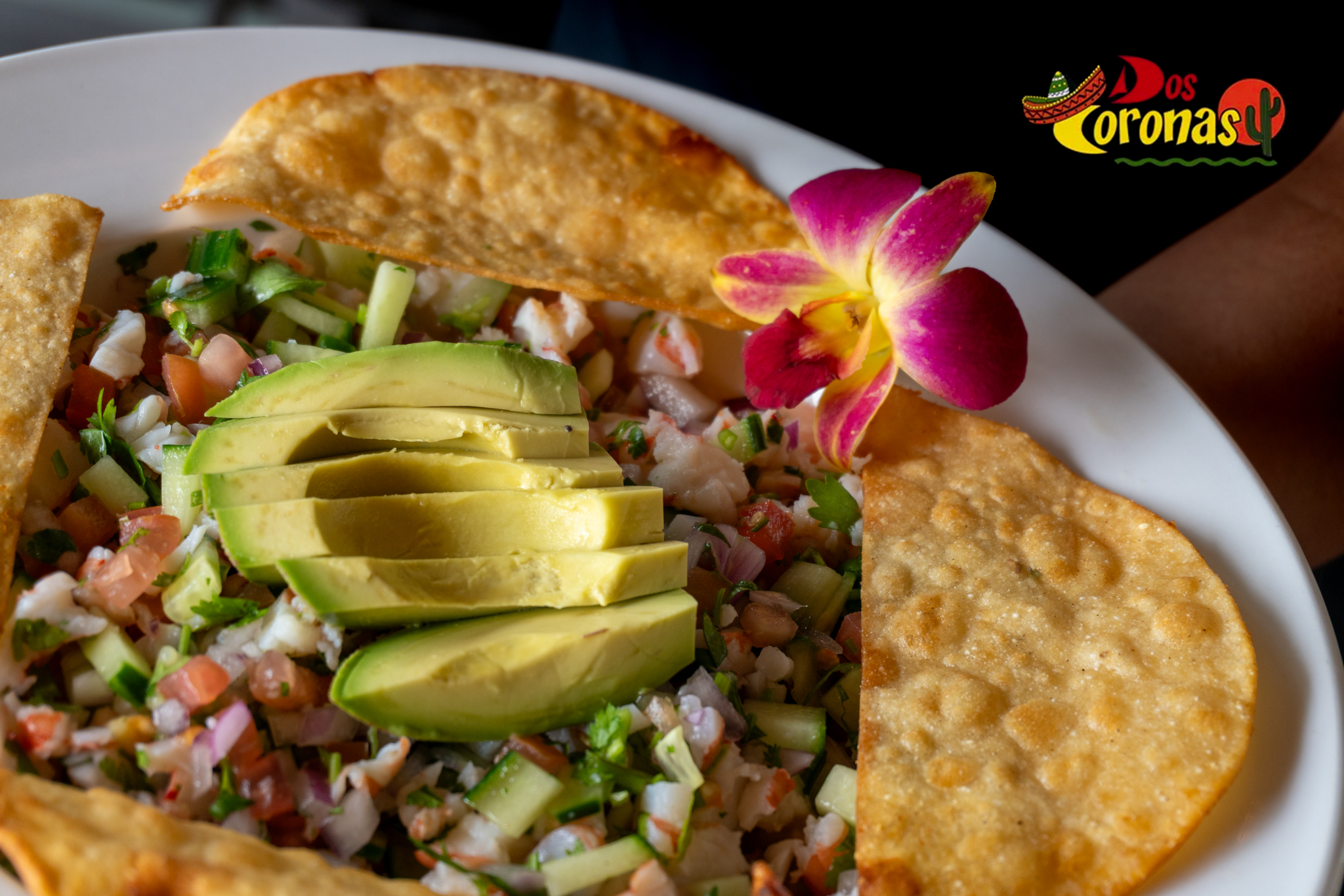 Dos coronas Northfield