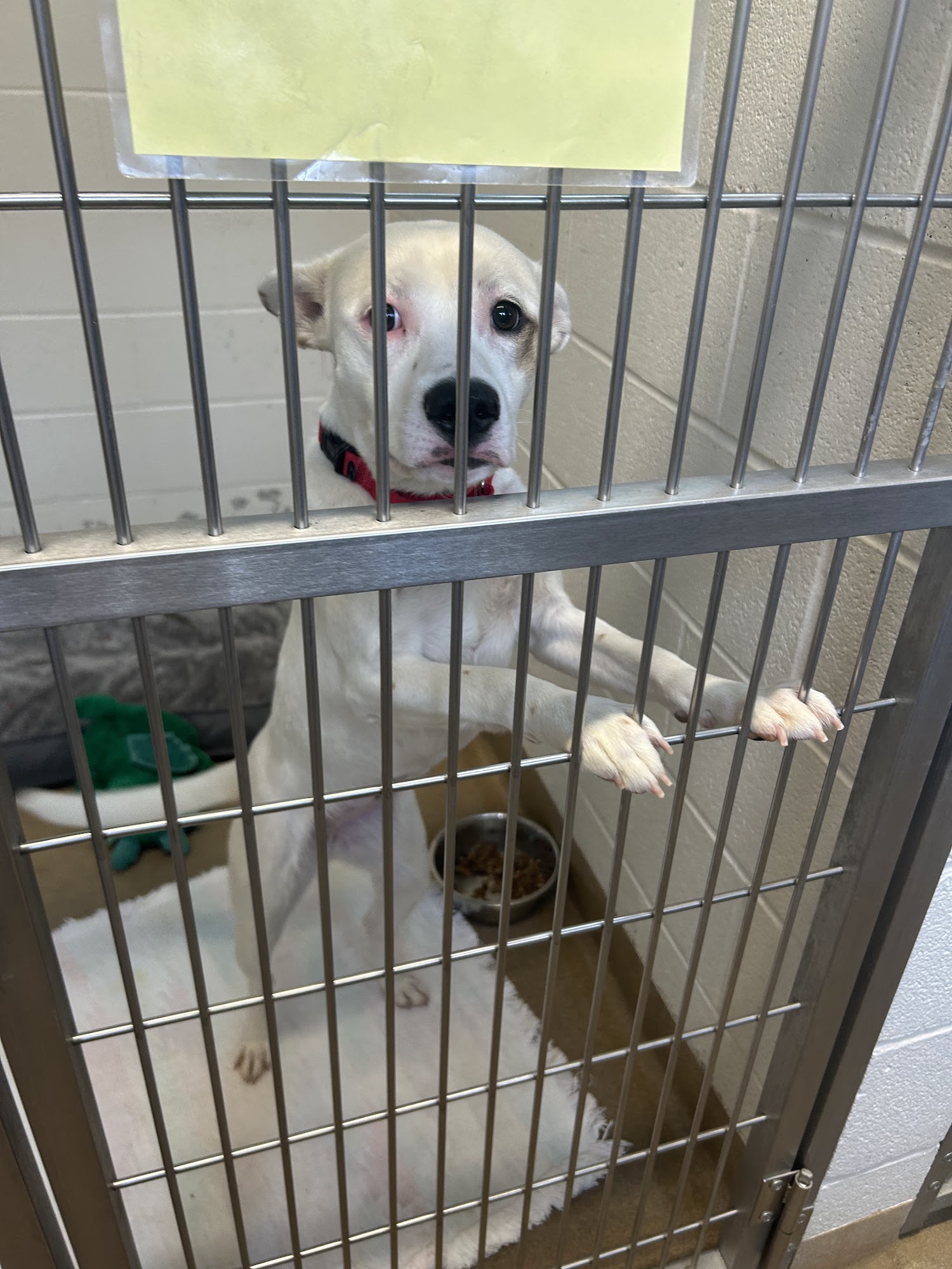 Rescue Village Novelty