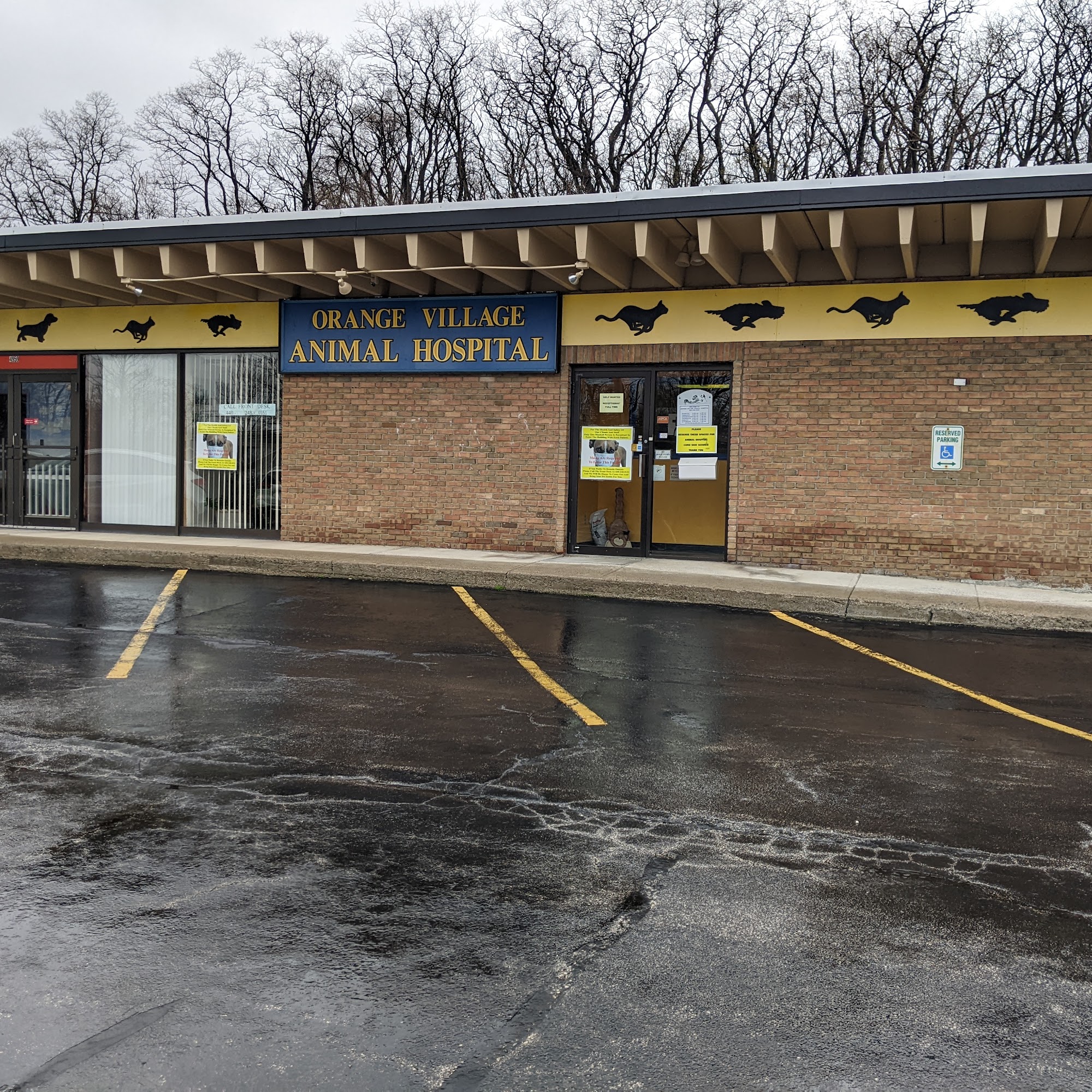 Orange Village Animal Hospital Orange