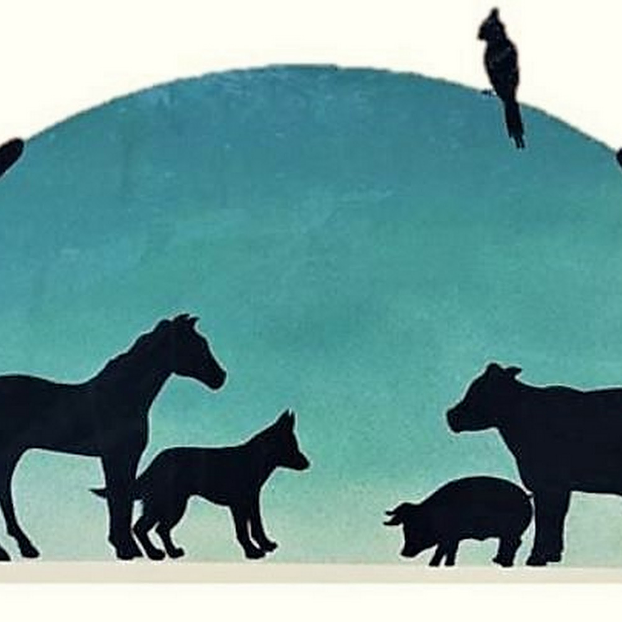 Grand Valley Veterinary Hospital Orwell