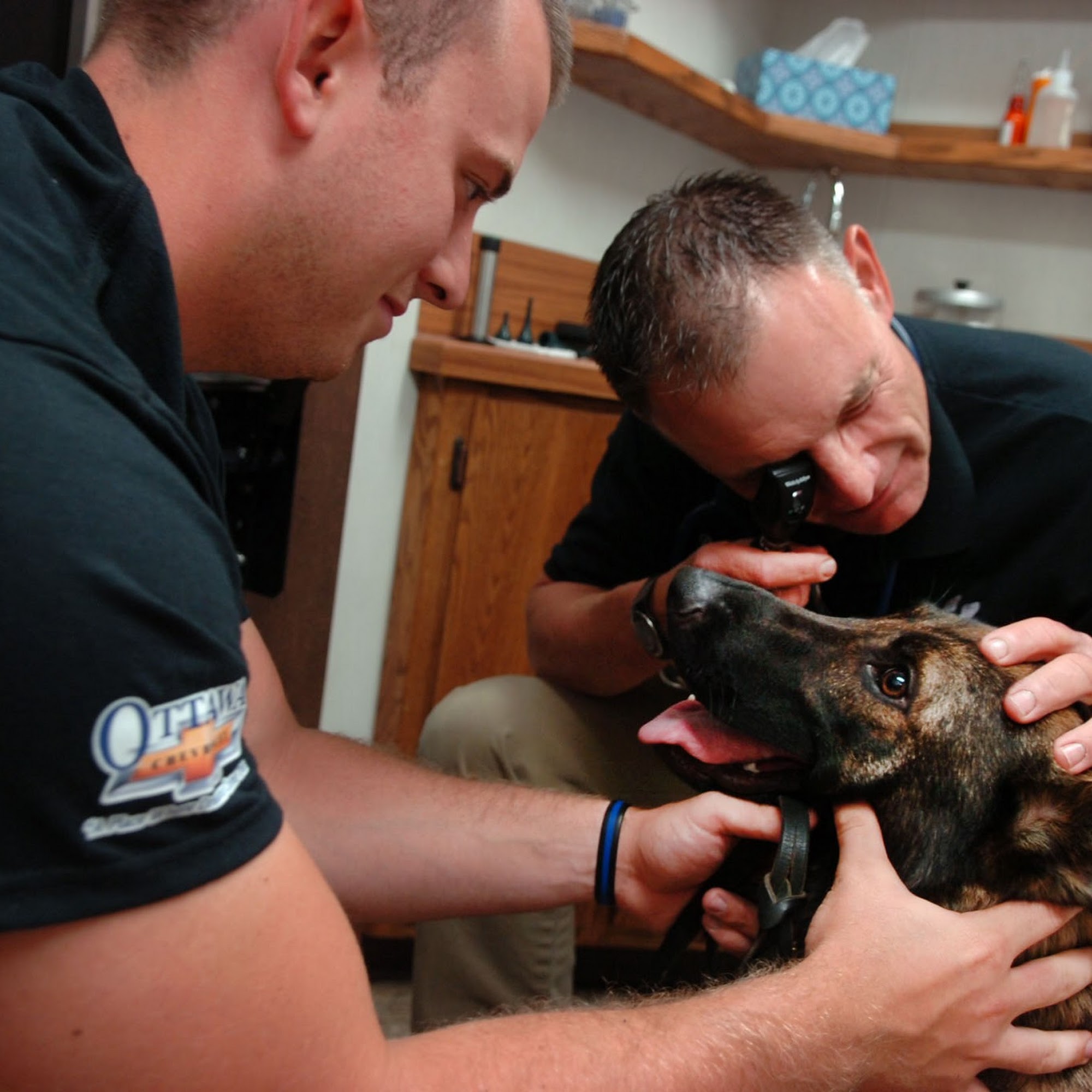 Ottawa Veterinary Clinic Ottawa