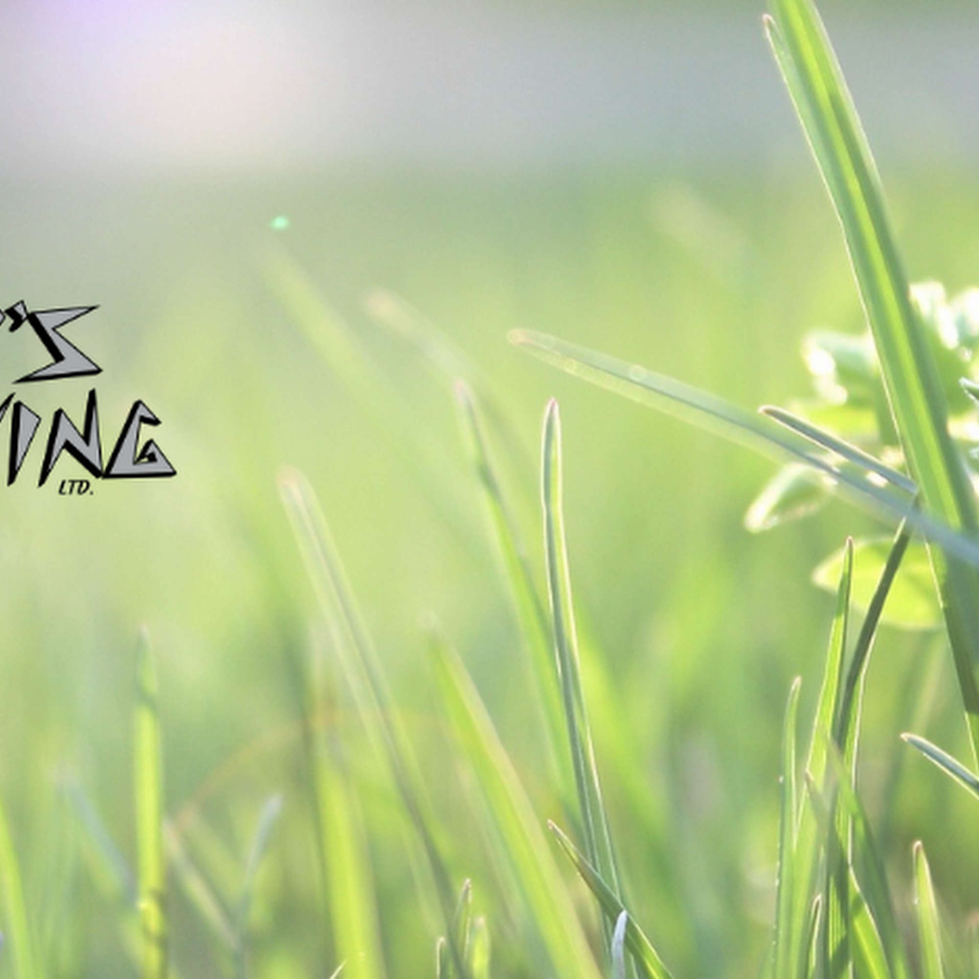 Croy's Mowing Ltd 525 N Thomas St, Ottawa Ohio 45875