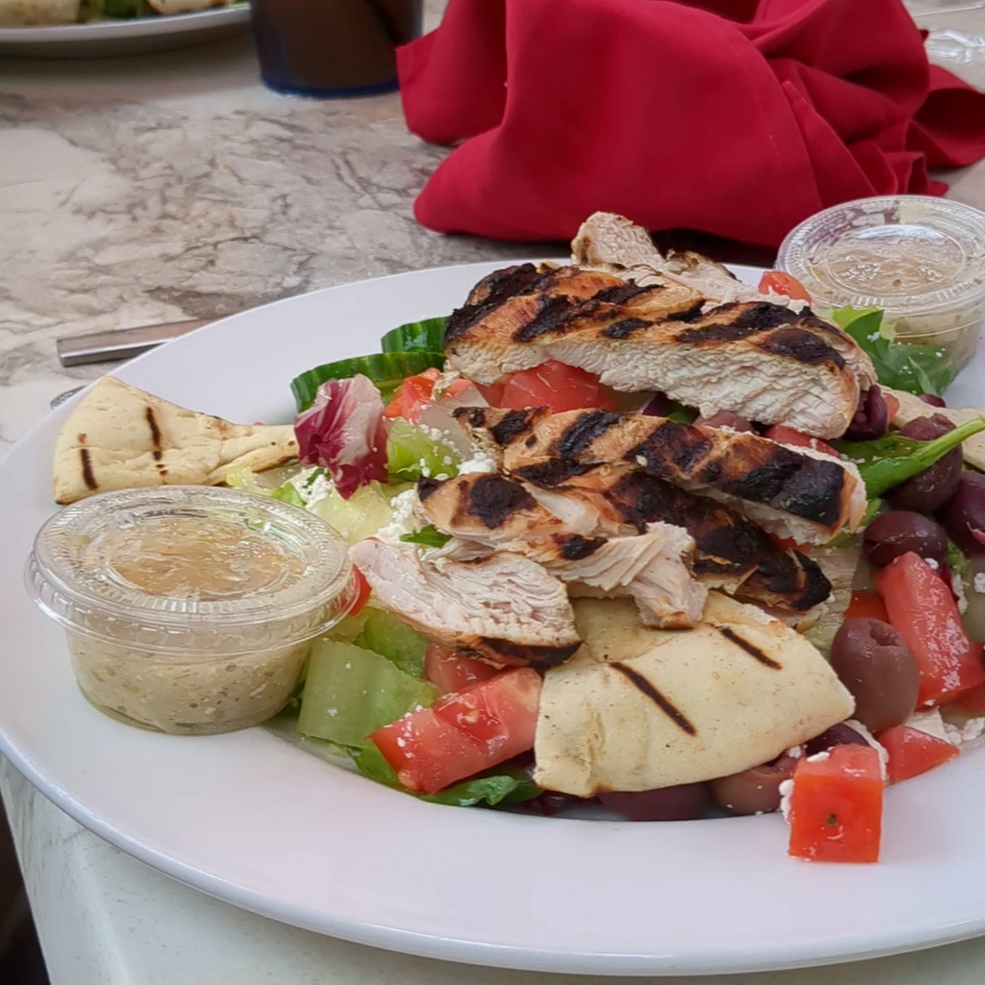 Redhawk Grille Painesville