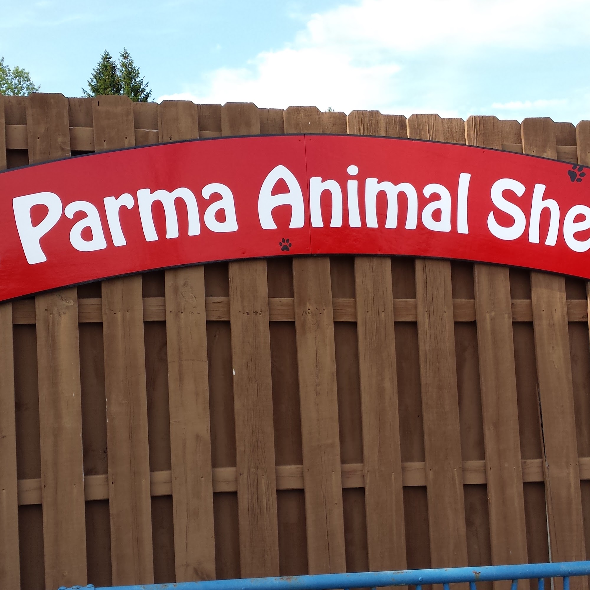 Parma Animal Shelter Parma