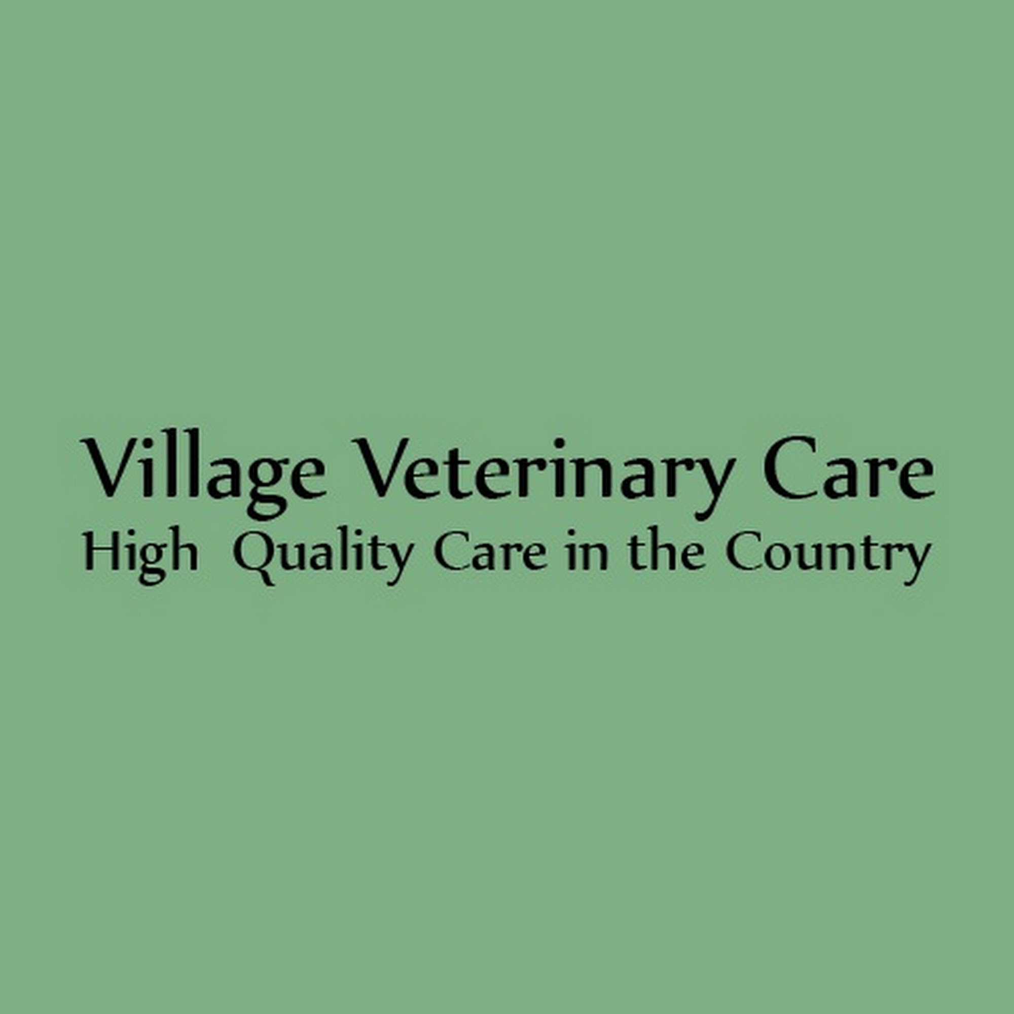 Village Veterinary Care Pataskala