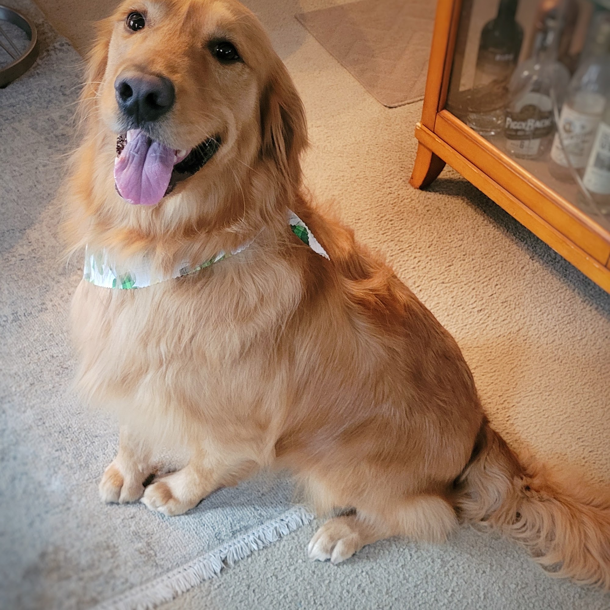 Heartland Kennels Peninsula