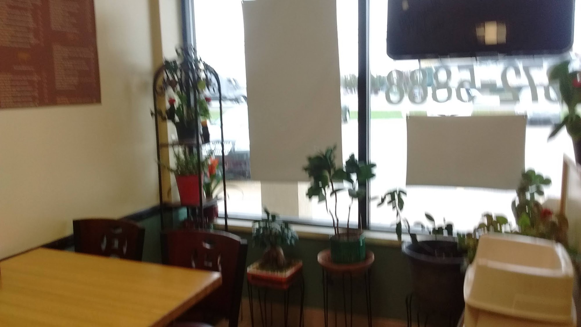 Yum Yummy Perrysburg