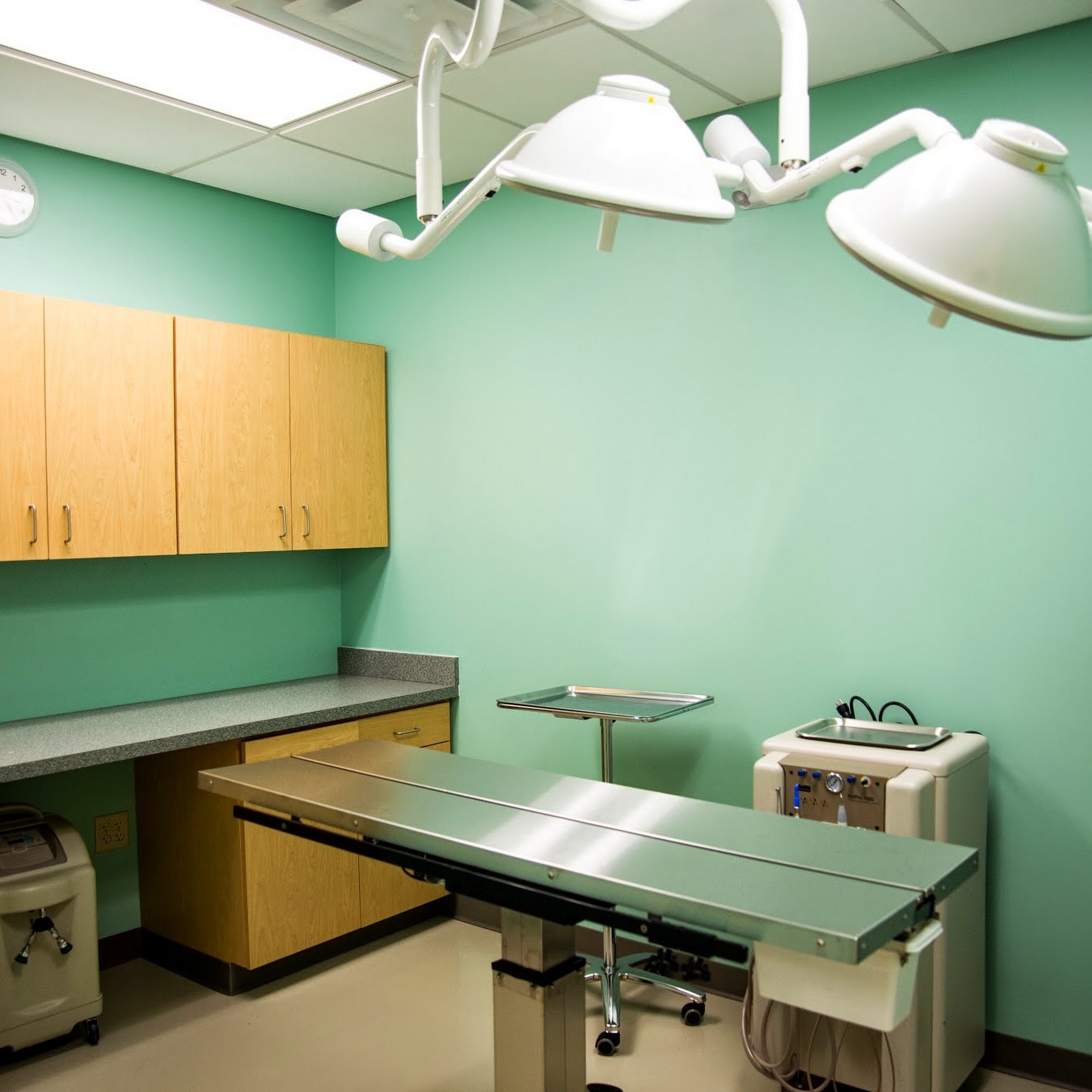 Compassionate Care Animal Hospital Pickerington