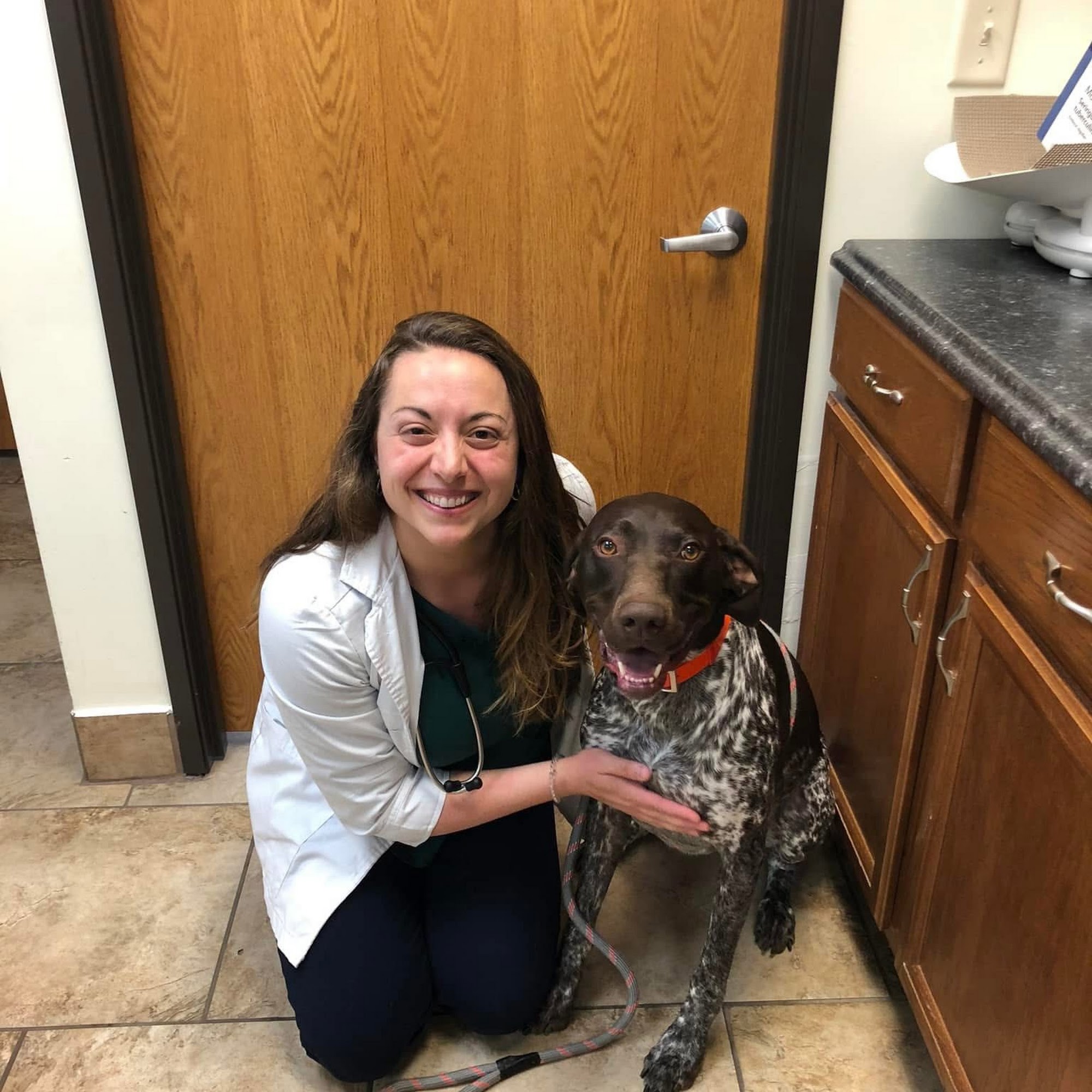 Community Veterinary Clinic Plain City