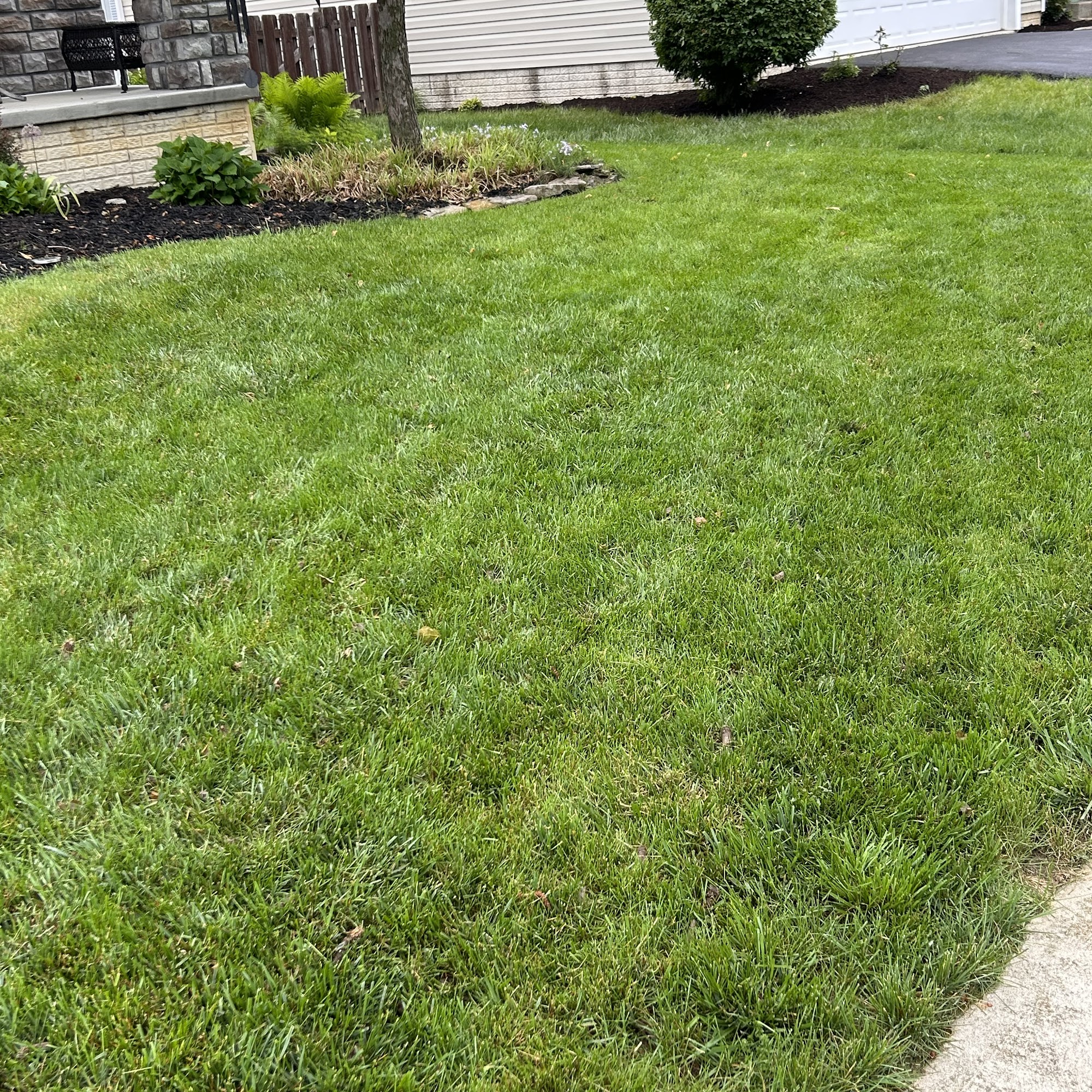 Land Art Lawn Care Service and Turf Management 7714 Corporate Blvd Suite A, Plain City Ohio 43064