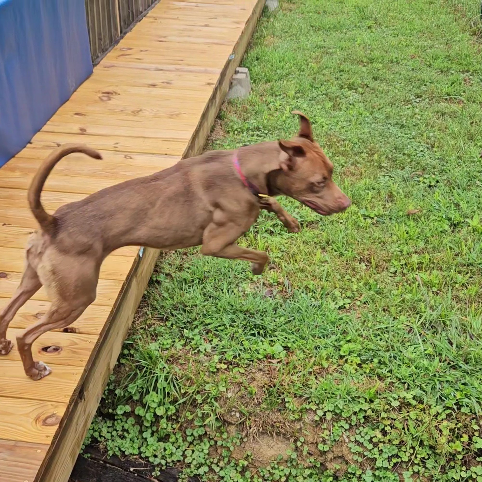 Sierra's Haven For New & Used Portsmouth