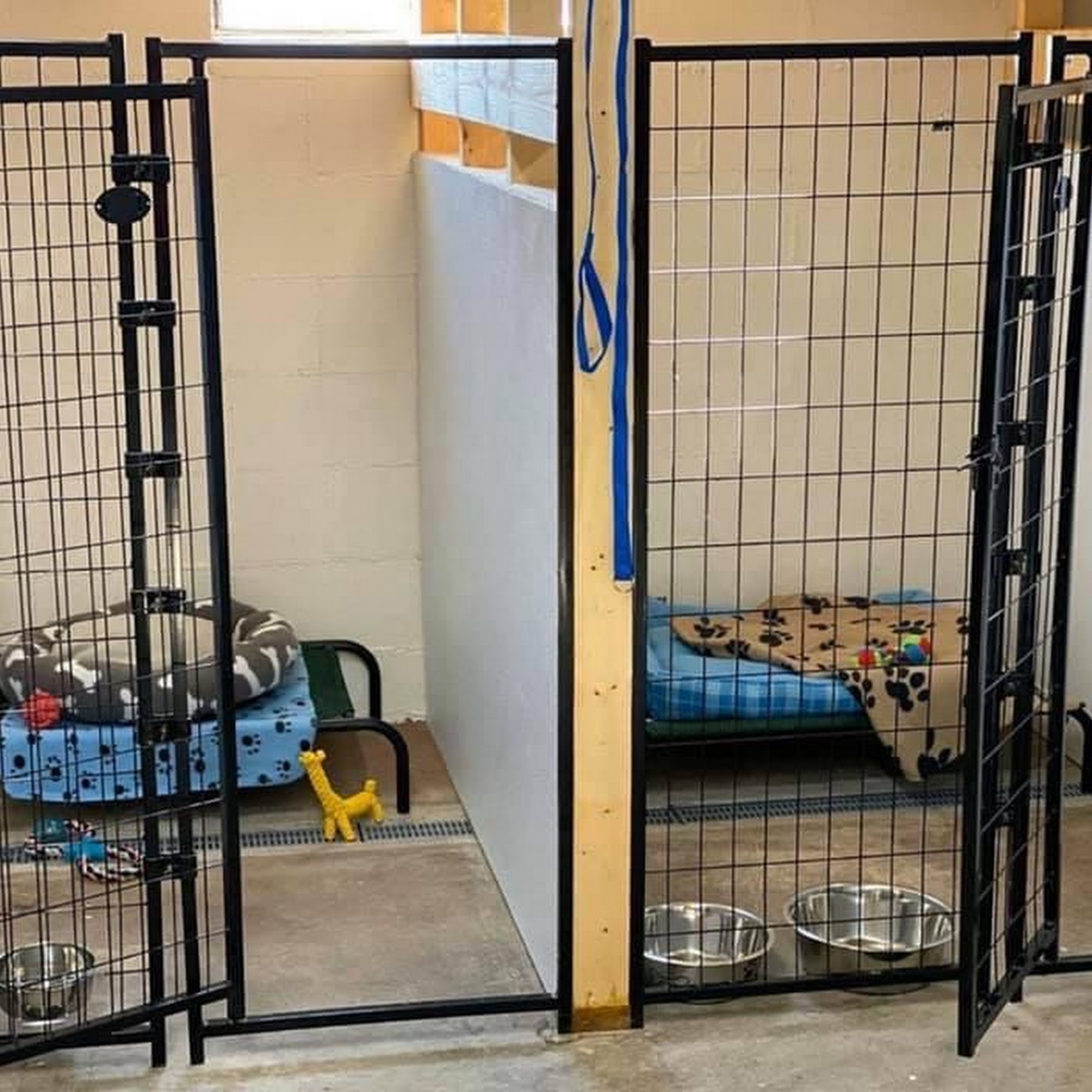 Skeens Pet Daycare & Spa Portsmouth