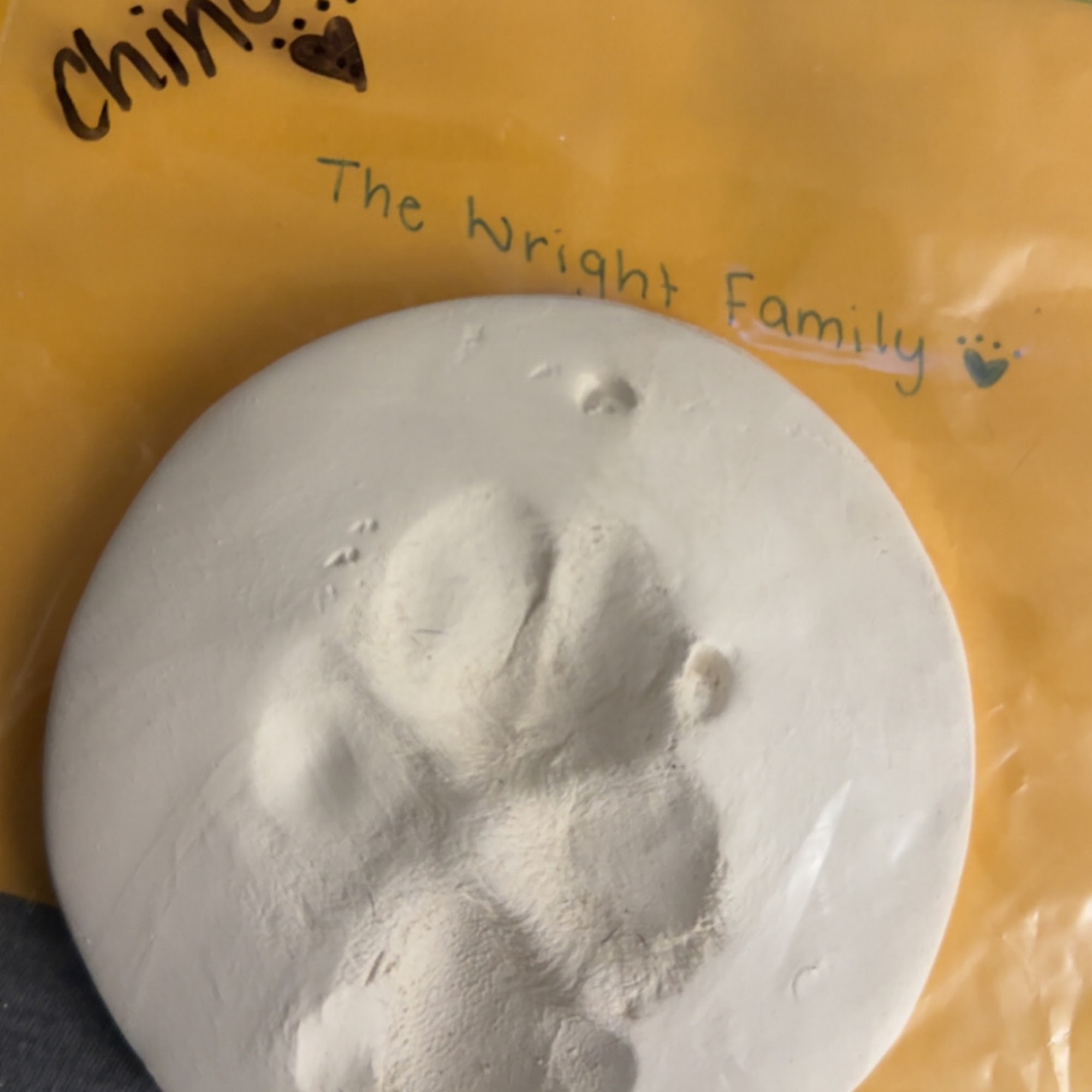 Liberty Pet Hospital Powell