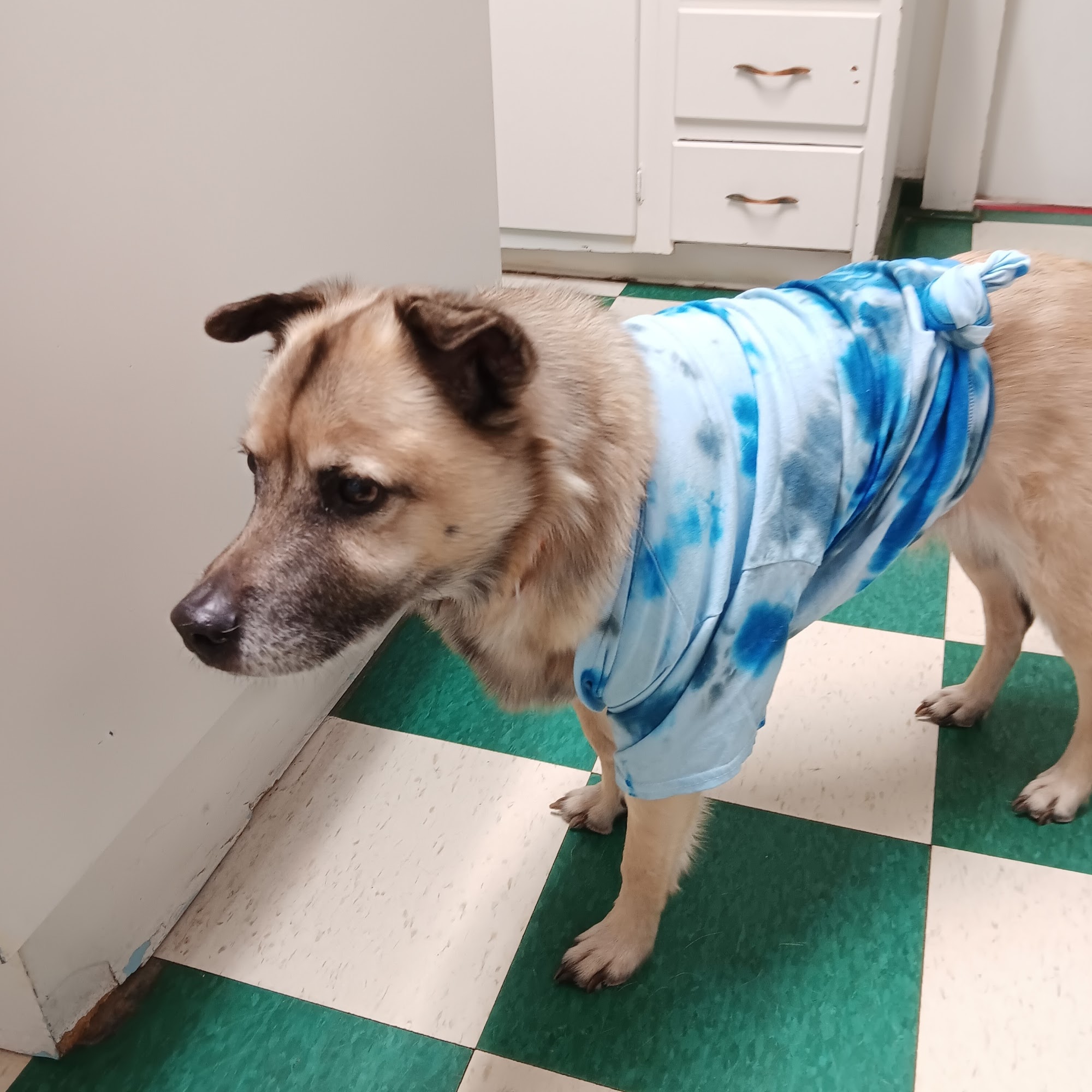 Hillview Veterinary Clinic / Bed & Biscuit Reynoldsburg